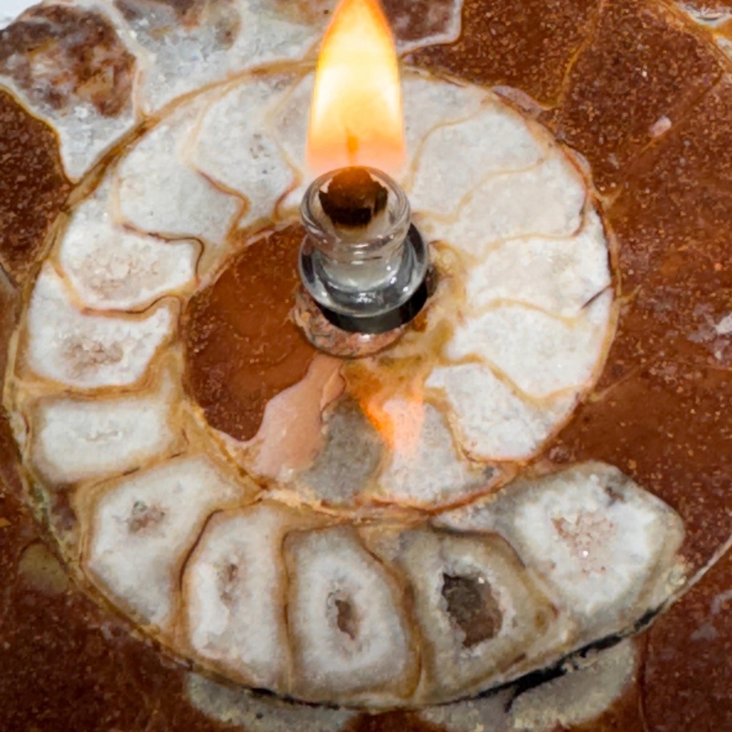 [shopname] - Rock Candle - Ammonite fossil, rock decor