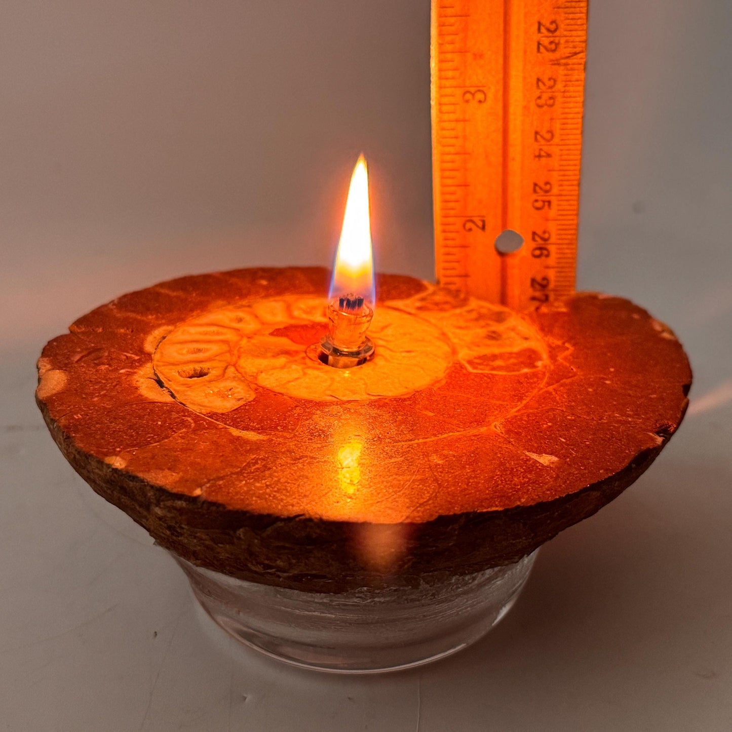[shopname] - Rock Candle - Ammonite fossil, rock decor
