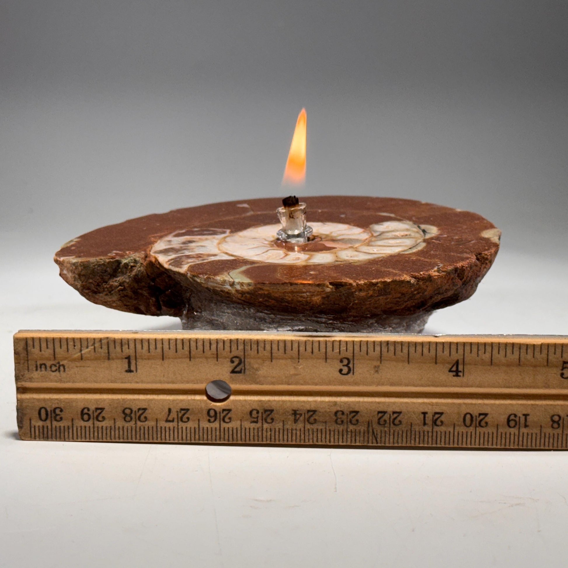 [shopname] - Rock Candle - Ammonite fossil, rock decor