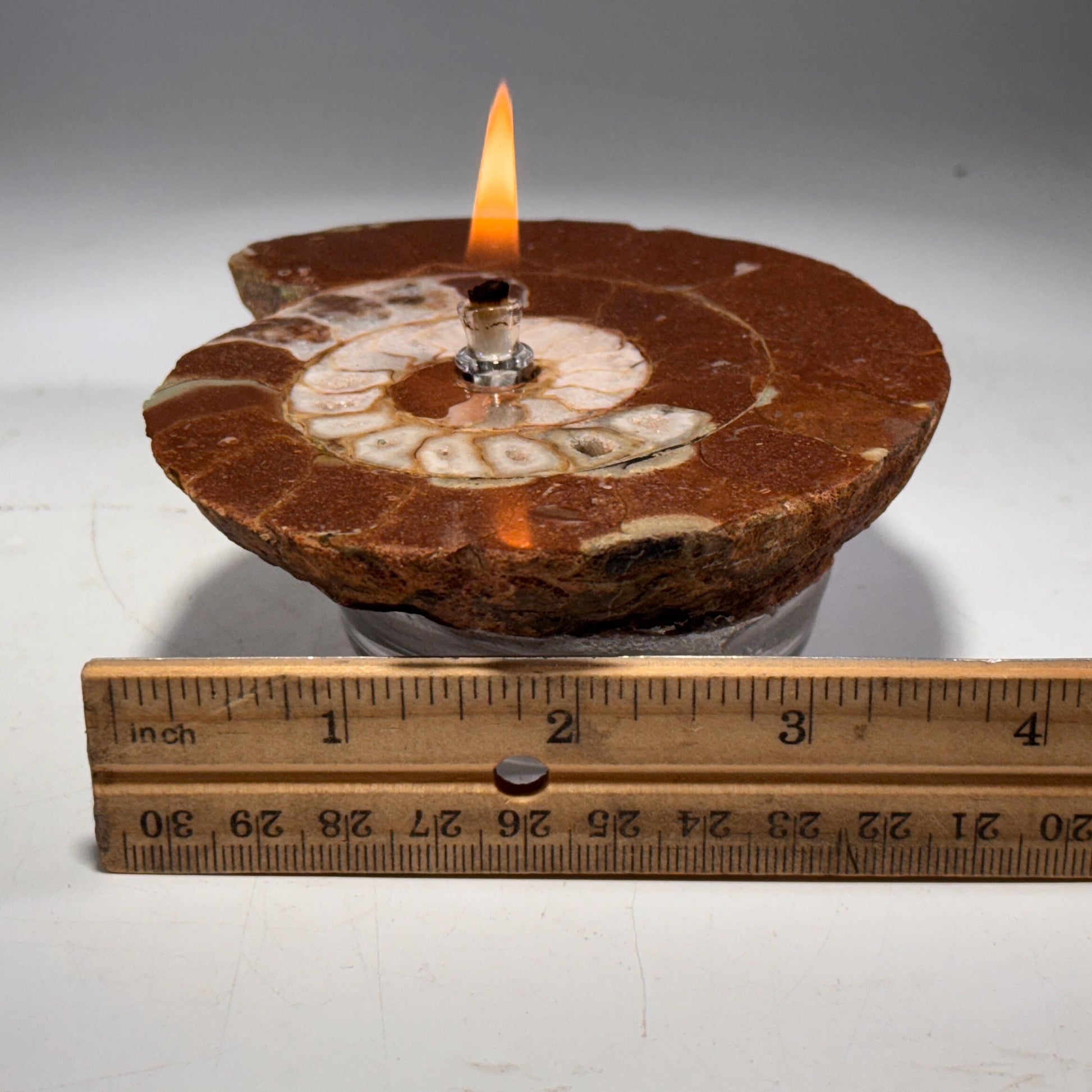 [shopname] - Rock Candle - Ammonite fossil, rock decor