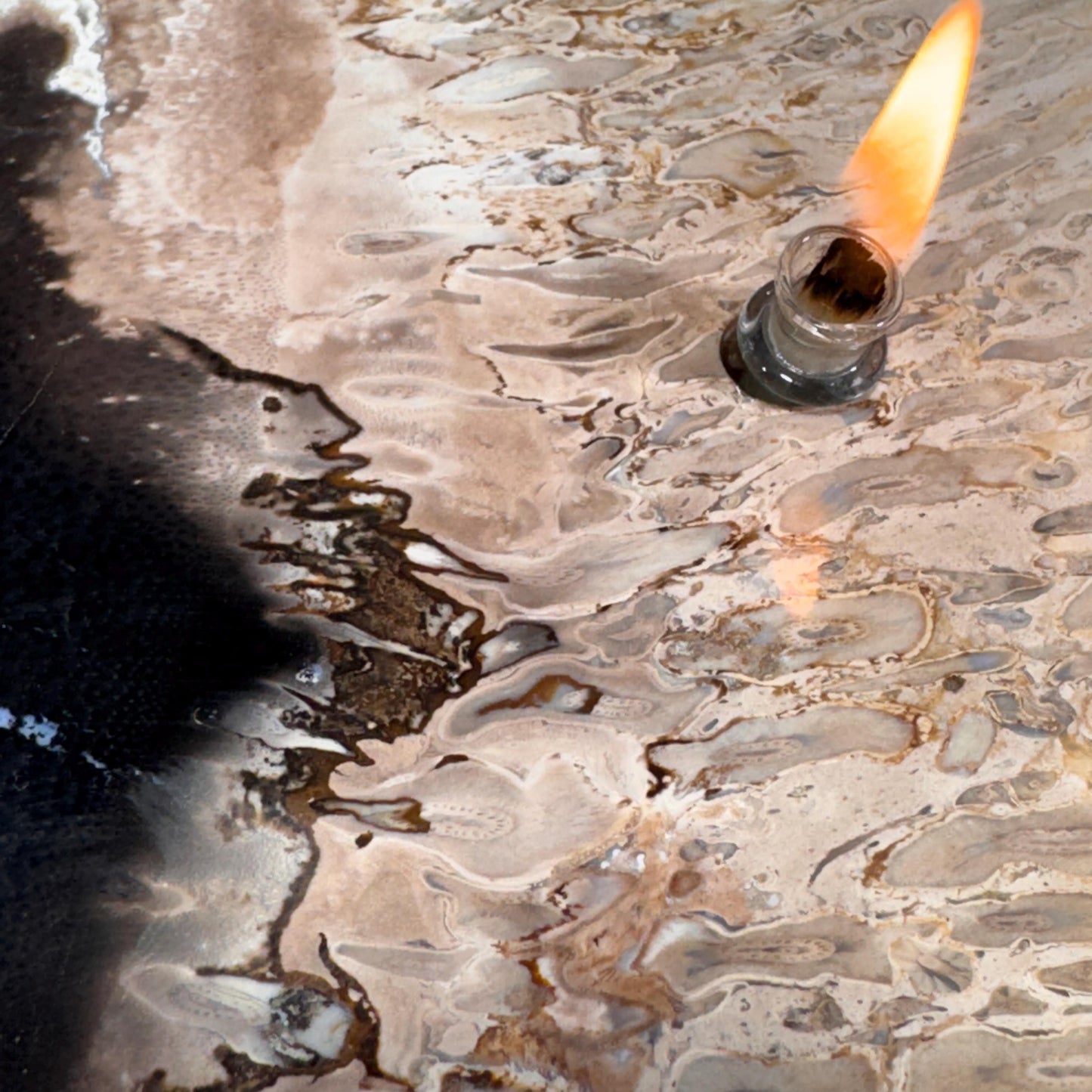 [shopname] - Petrified Palm Root Oil Lamp, rock decor