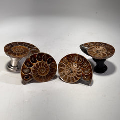 [shopname] - Cabinet knobs - large fossil ammonite | drawer knobs, kitchen knobs, dresser knobs, fossil knobs, rock knobs, rock decor, rock decor