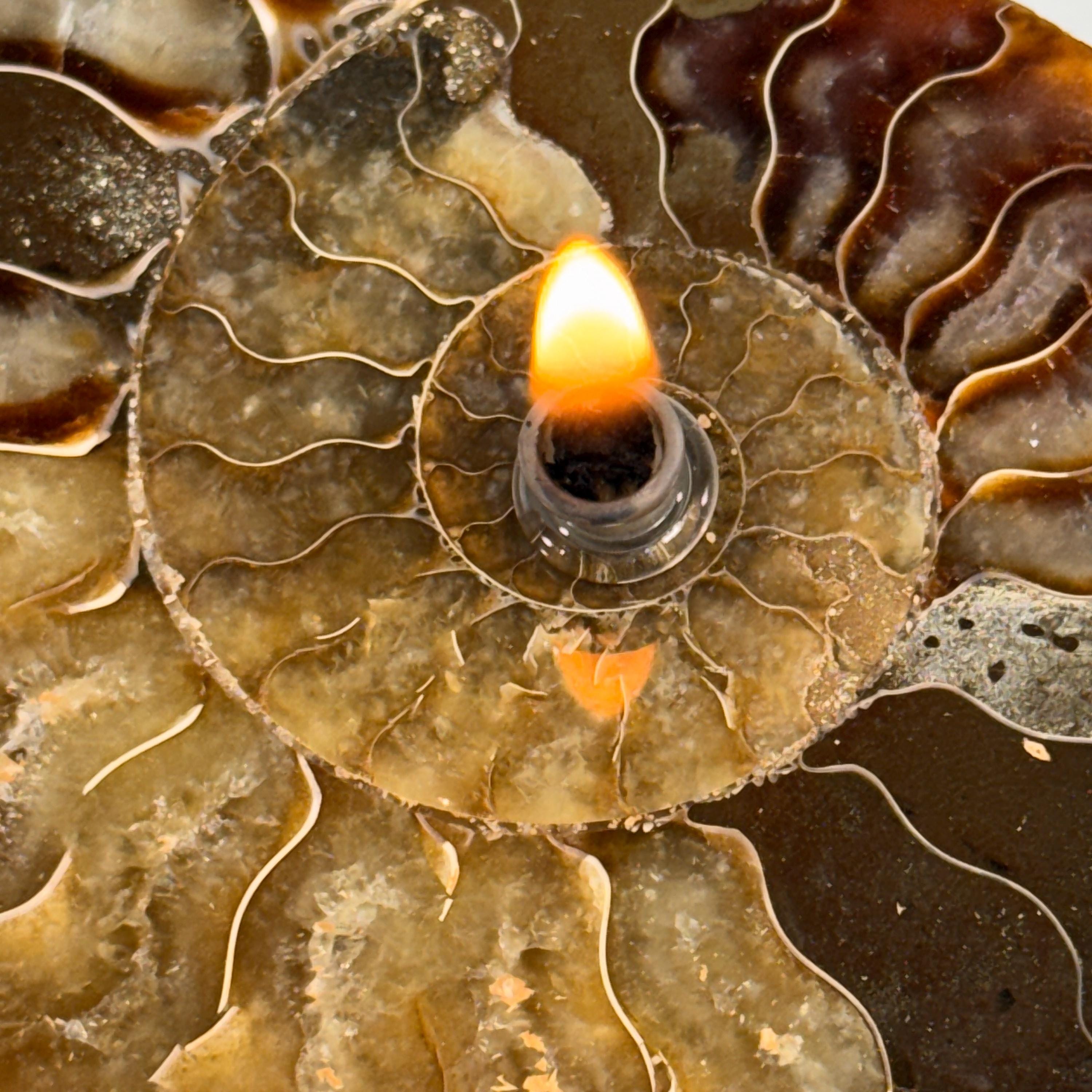 [shopname] - Rock Candle, Ammonite fossil | rock oil candle, nautilus fossil, fossil oil lamp, fossil candle, metaphysical, rock or candle lover gift, rock decor