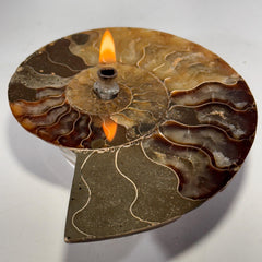 [shopname] - Rock Candle, Ammonite fossil | rock oil candle, nautilus fossil, fossil oil lamp, fossil candle, metaphysical, rock or candle lover gift, rock decor
