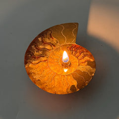 [shopname] - Rock Candle, Ammonite fossil | rock oil candle, nautilus fossil, fossil oil lamp, fossil candle, metaphysical, rock or candle lover gift, rock decor
