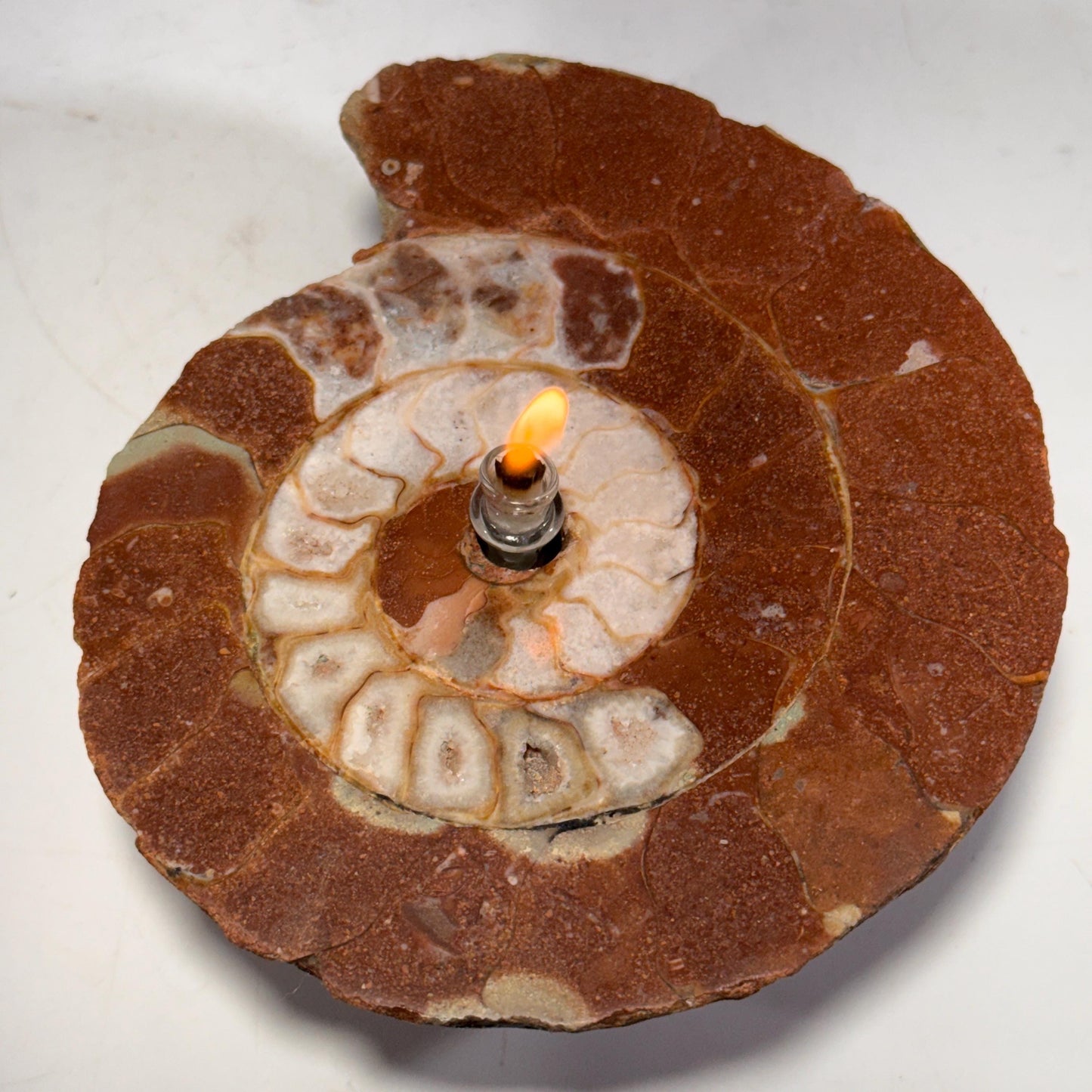 [shopname] - Rock Candle - Ammonite fossil, rock decor