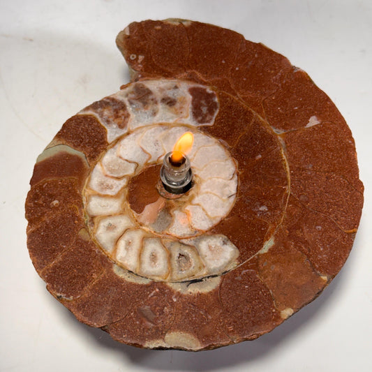 [shopname] - Rock Candle - Ammonite fossil, rock decor