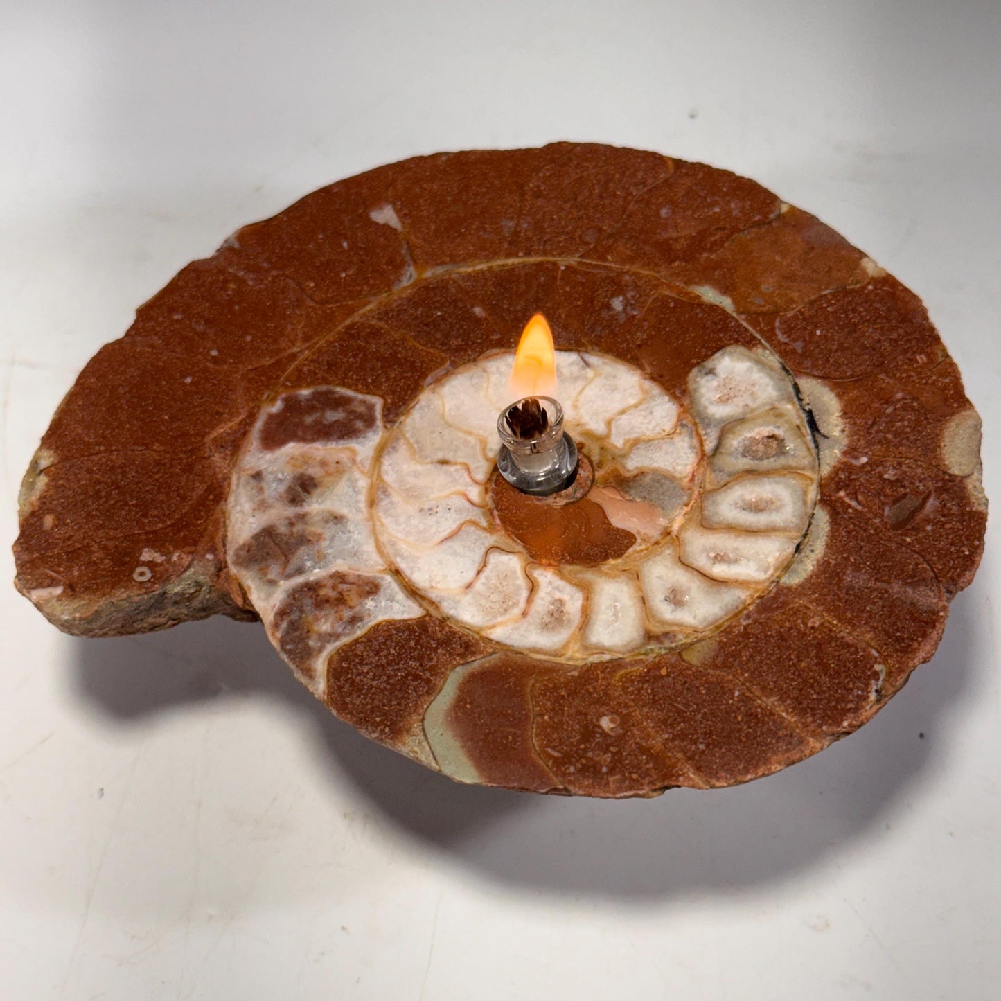 [shopname] - Rock Candle - Ammonite fossil, rock decor