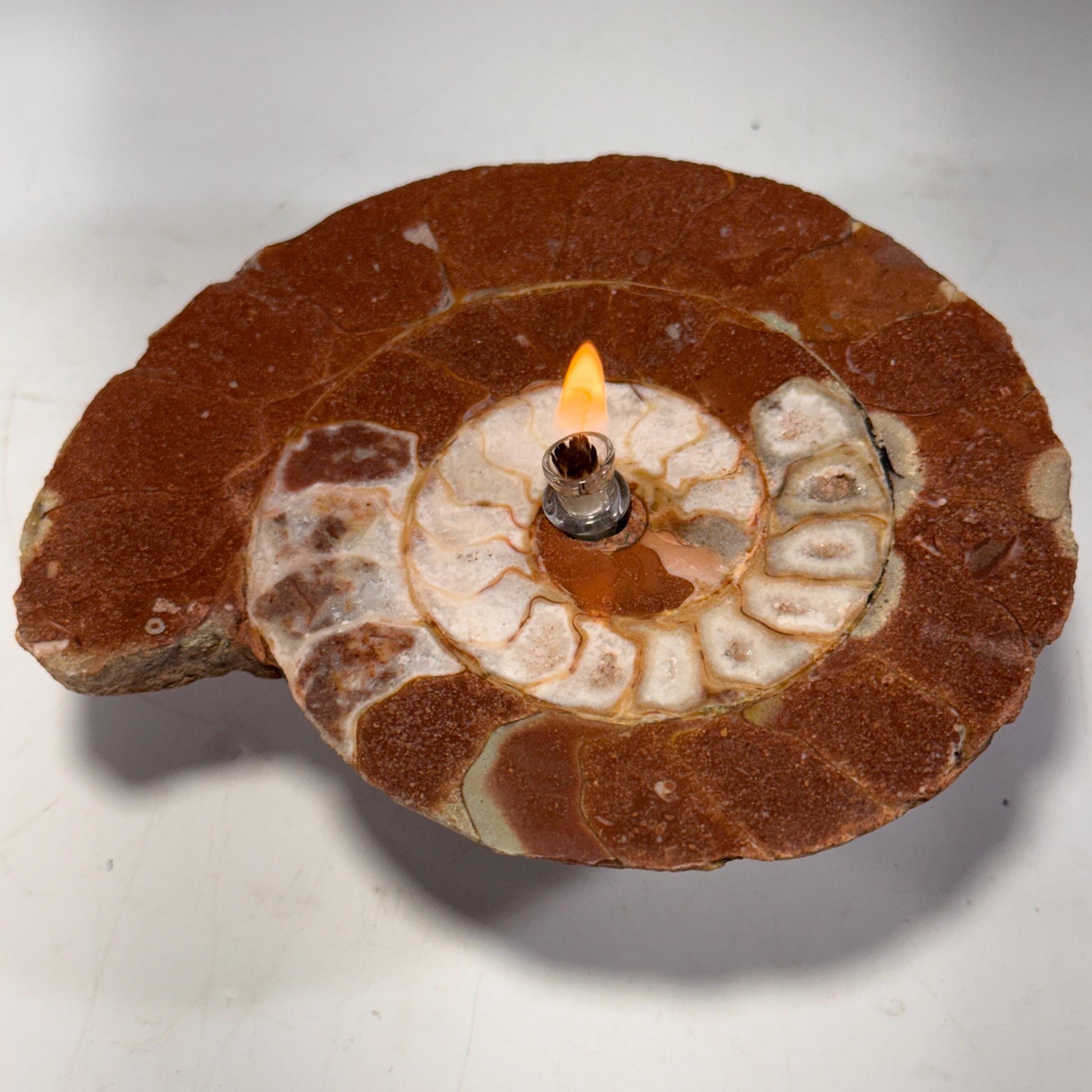 [shopname] - Rock Candle - Ammonite fossil, rock decor