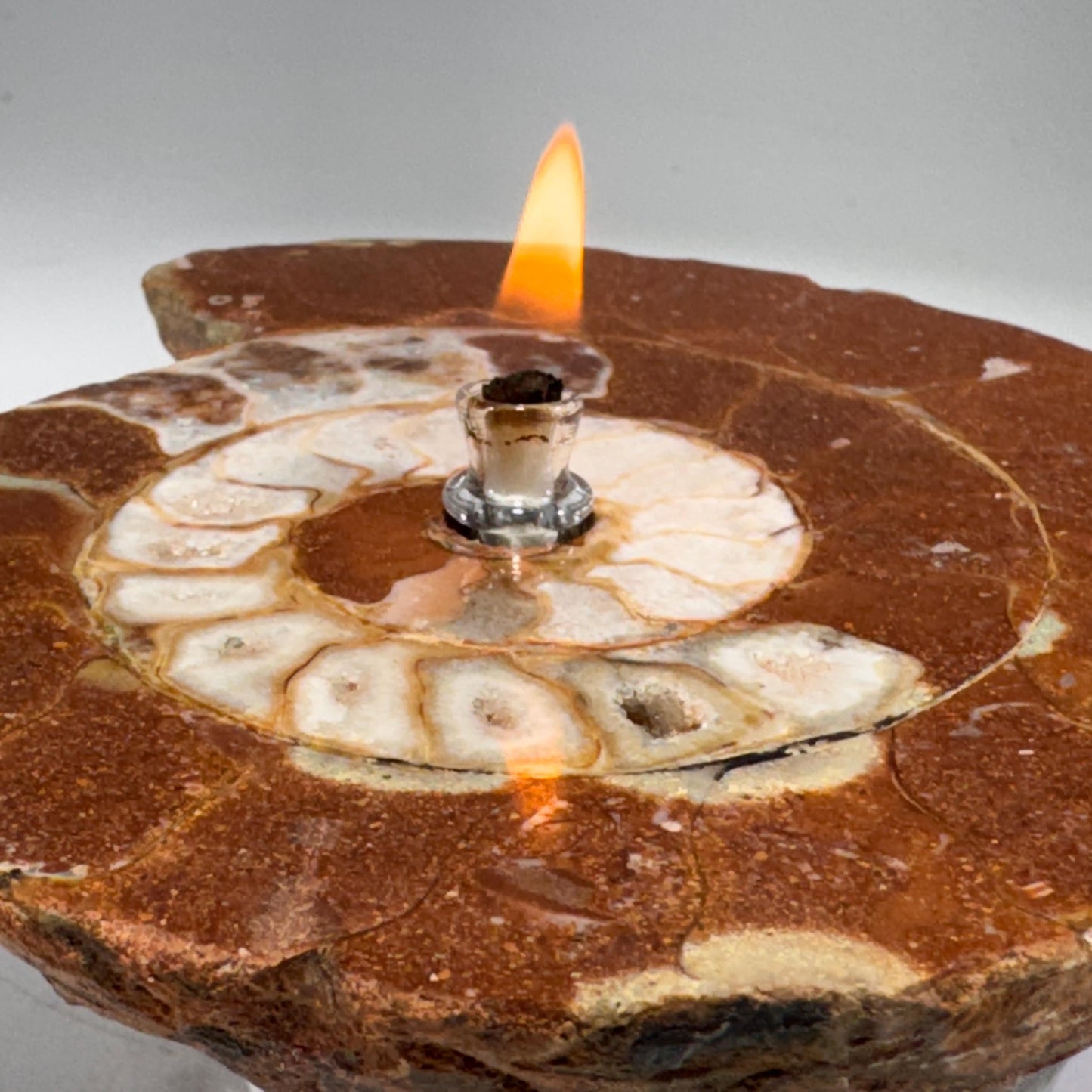 [shopname] - Rock Candle - Ammonite fossil, rock decor