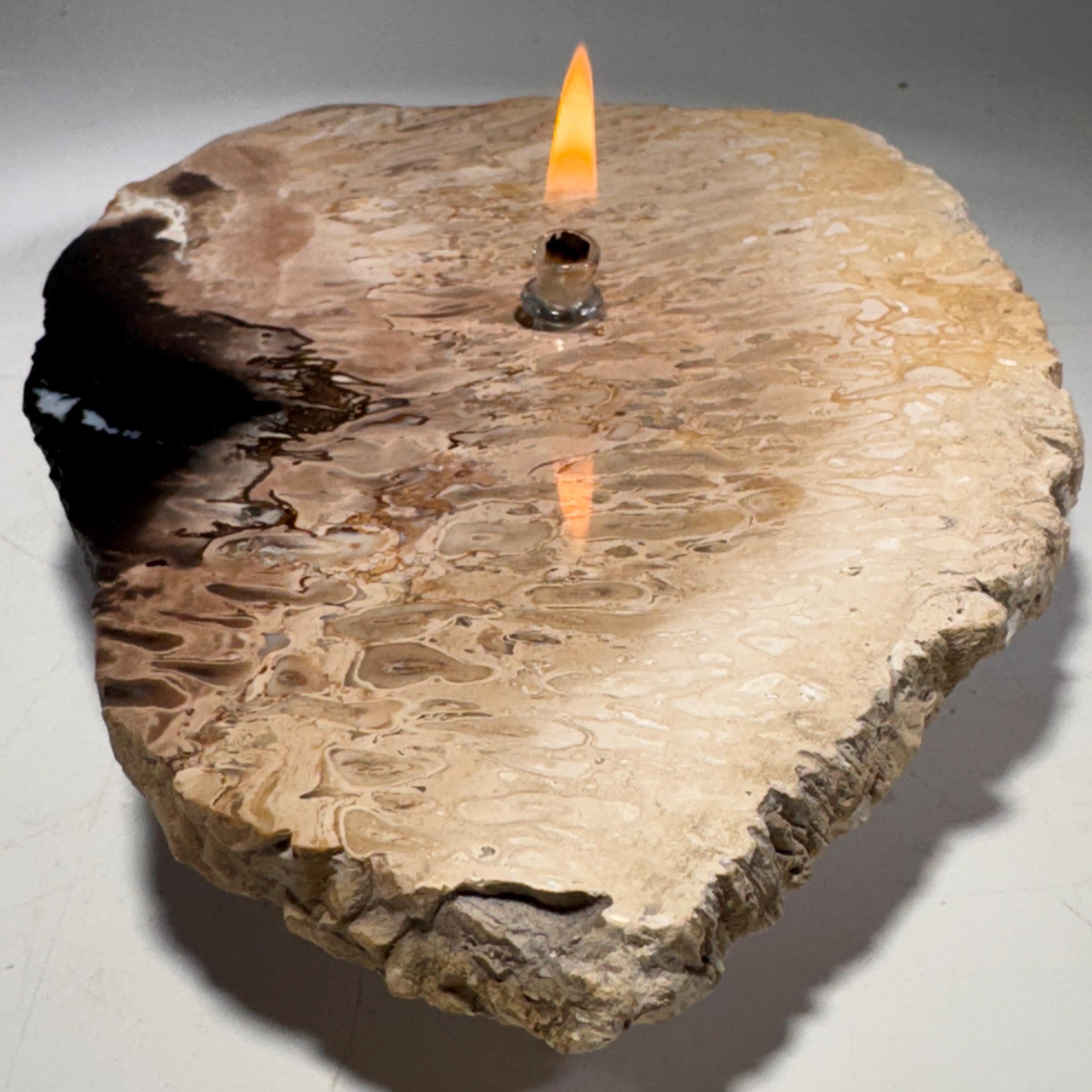 [shopname] - Petrified wood Rock Oil Lamp, rock decor