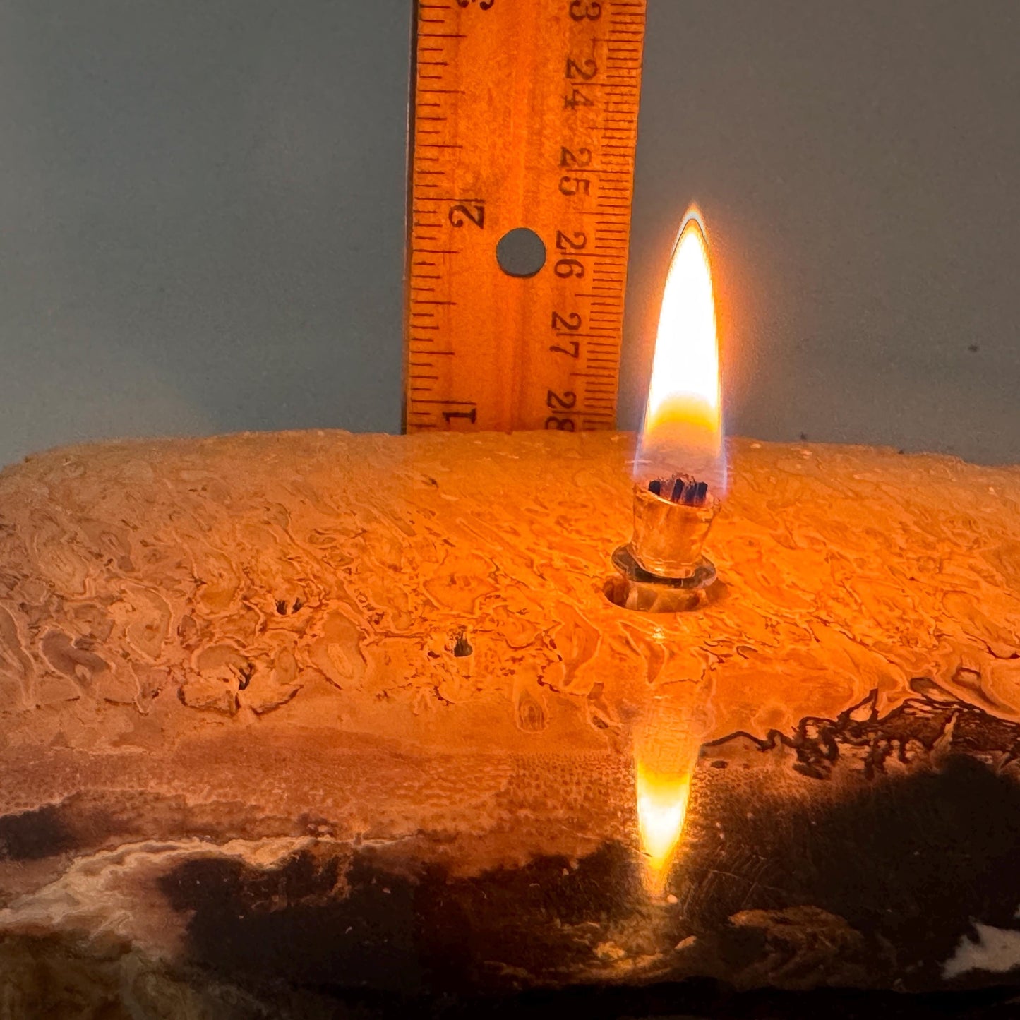 [shopname] - Petrified Palm Root Oil Lamp, rock decor