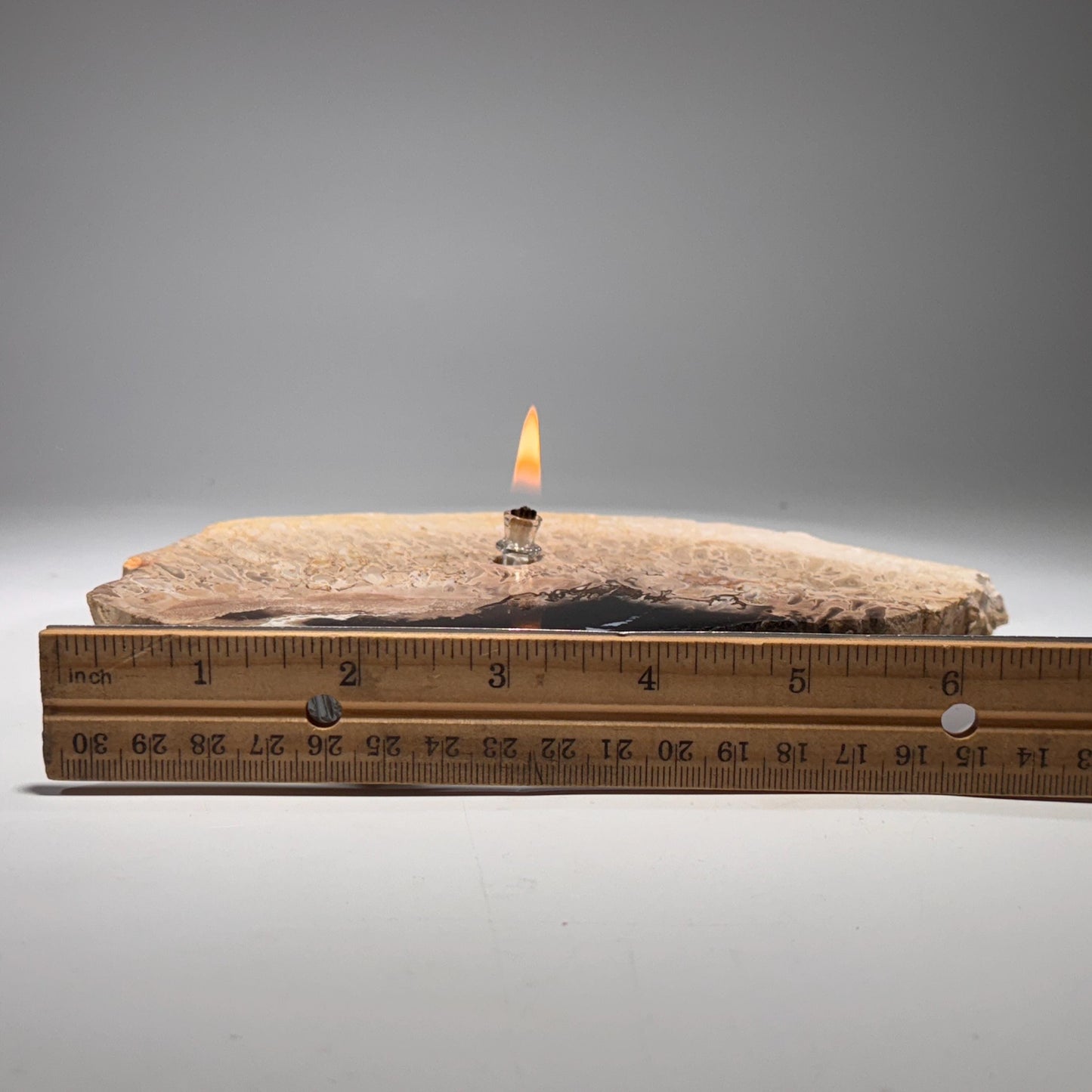 [shopname] - Petrified Palm Root Oil Lamp, rock decor