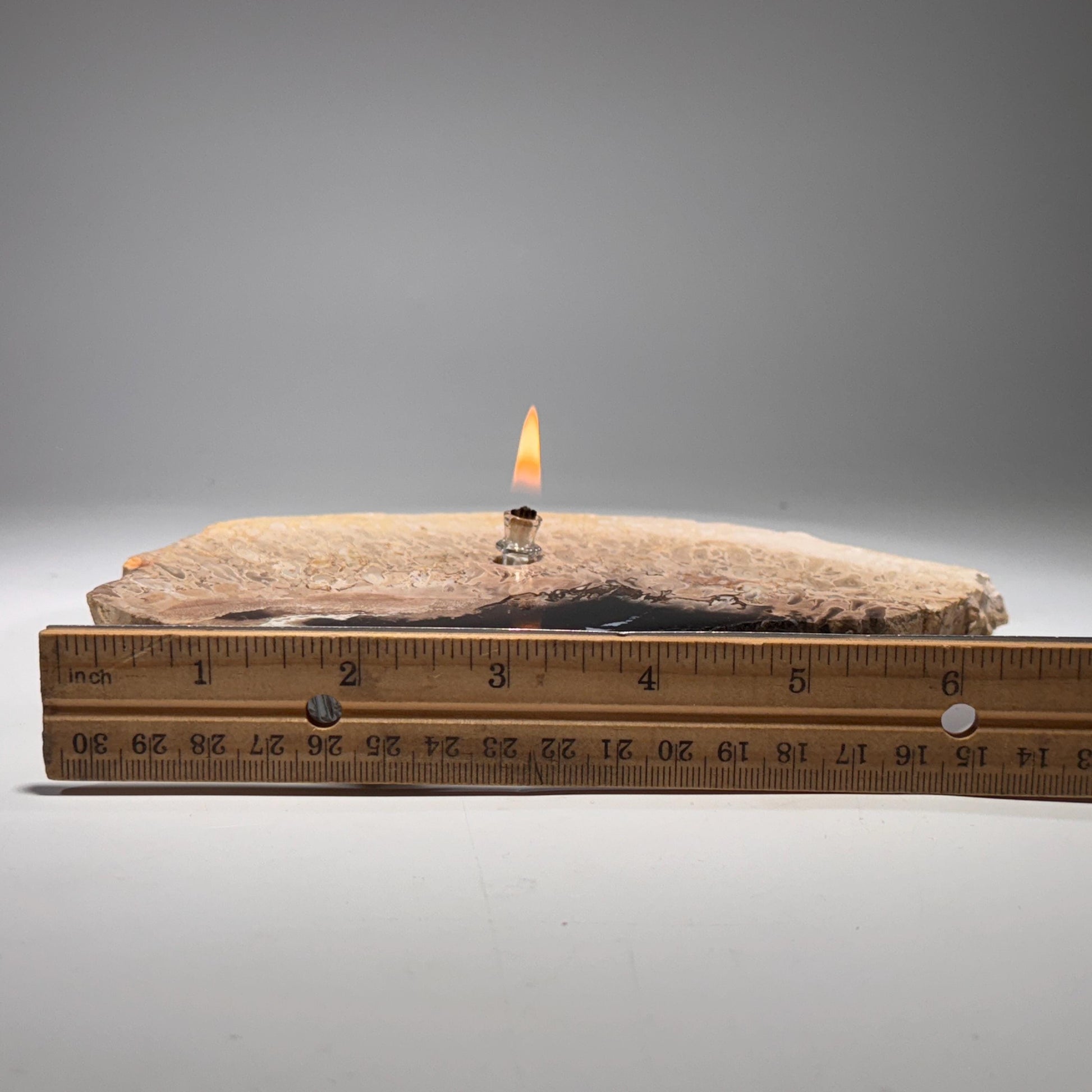 [shopname] - Petrified Palm Root Oil Lamp, rock decor