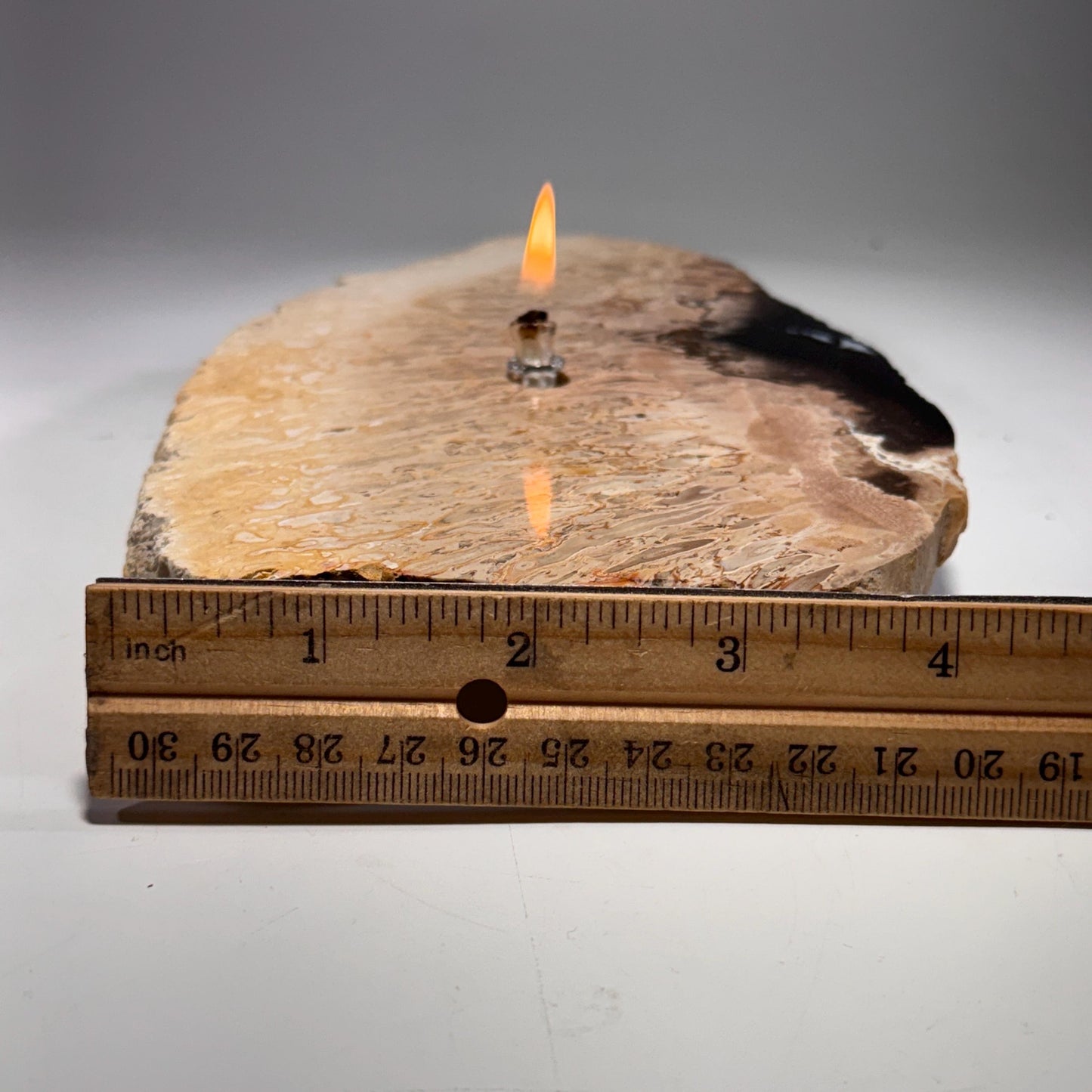 [shopname] - Petrified Palm Root Oil Lamp, rock decor