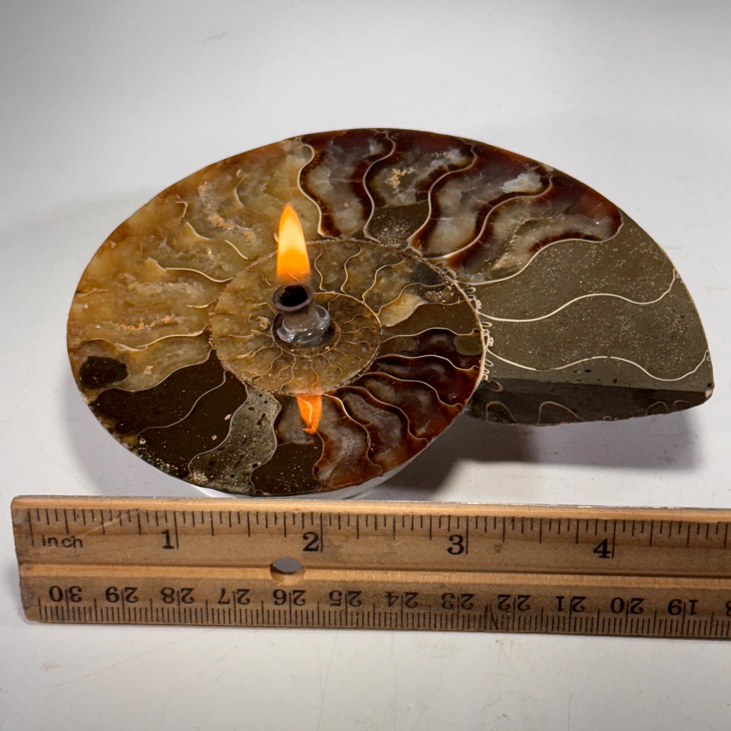 [shopname] - Rock Candle, Ammonite fossil | rock oil candle, nautilus fossil, fossil oil lamp, fossil candle, metaphysical, rock or candle lover gift, rock decor