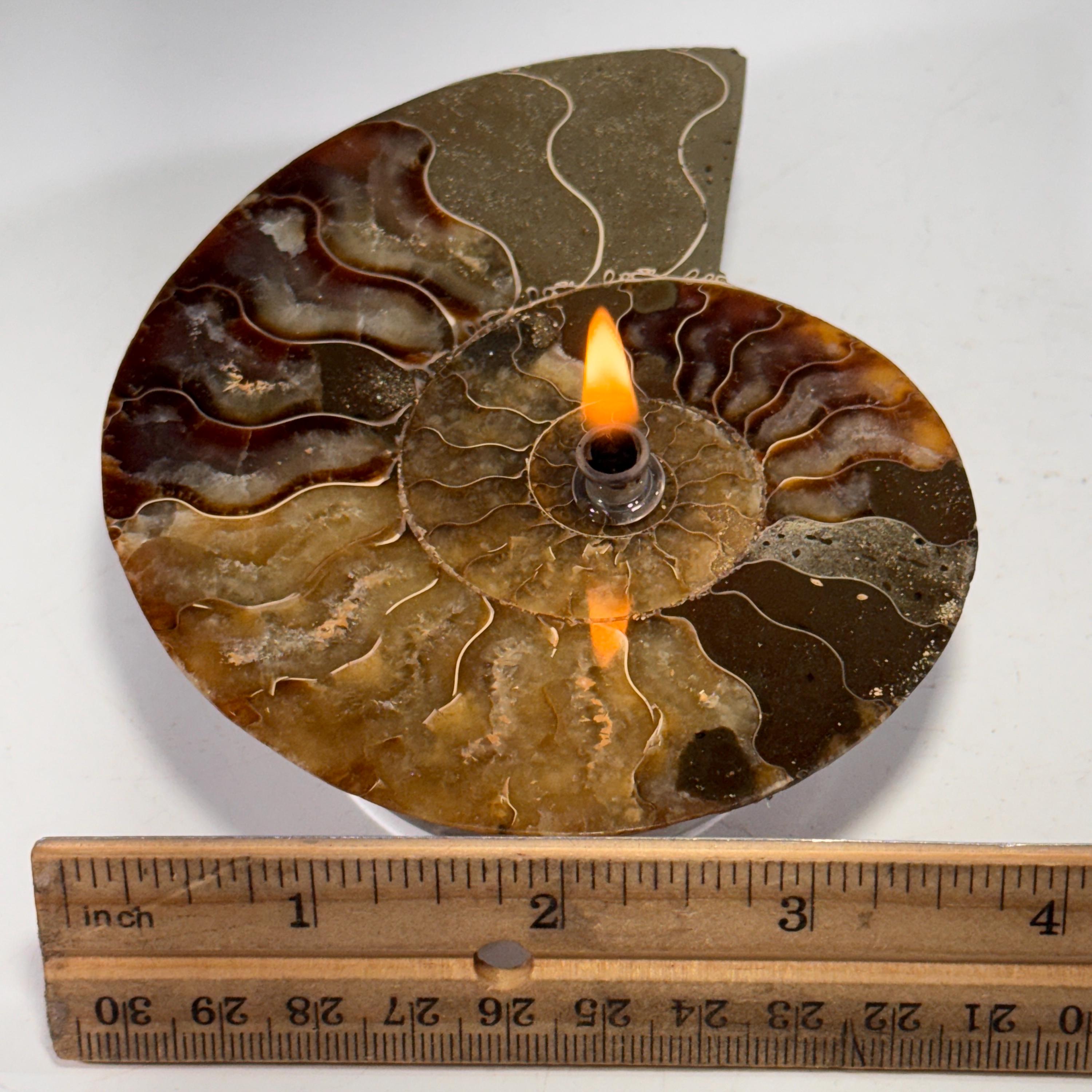 [shopname] - Rock Candle, Ammonite fossil | rock oil candle, nautilus fossil, fossil oil lamp, fossil candle, metaphysical, rock or candle lover gift, rock decor
