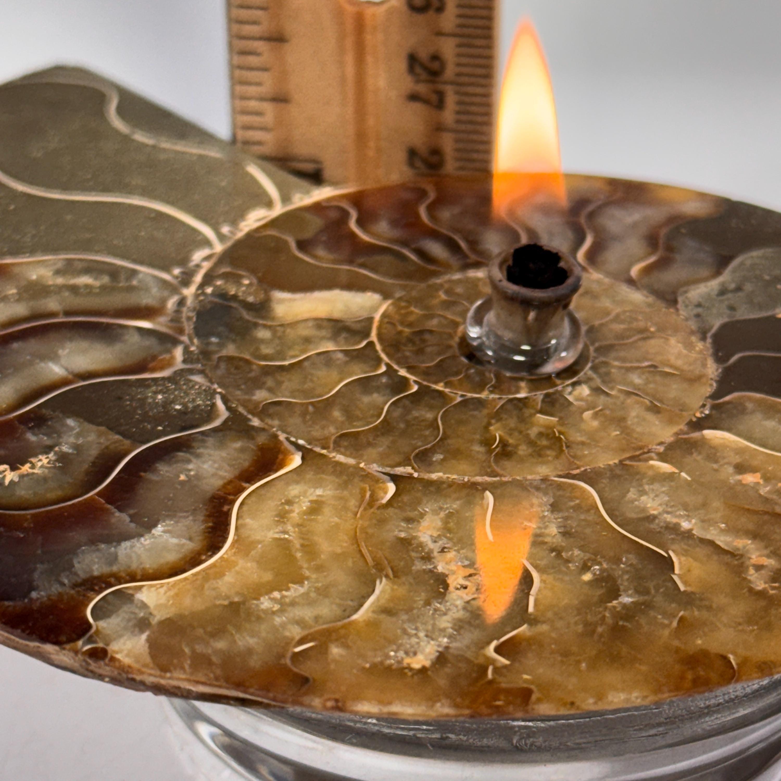 [shopname] - Rock Candle, Ammonite fossil | rock oil candle, nautilus fossil, fossil oil lamp, fossil candle, metaphysical, rock or candle lover gift, rock decor