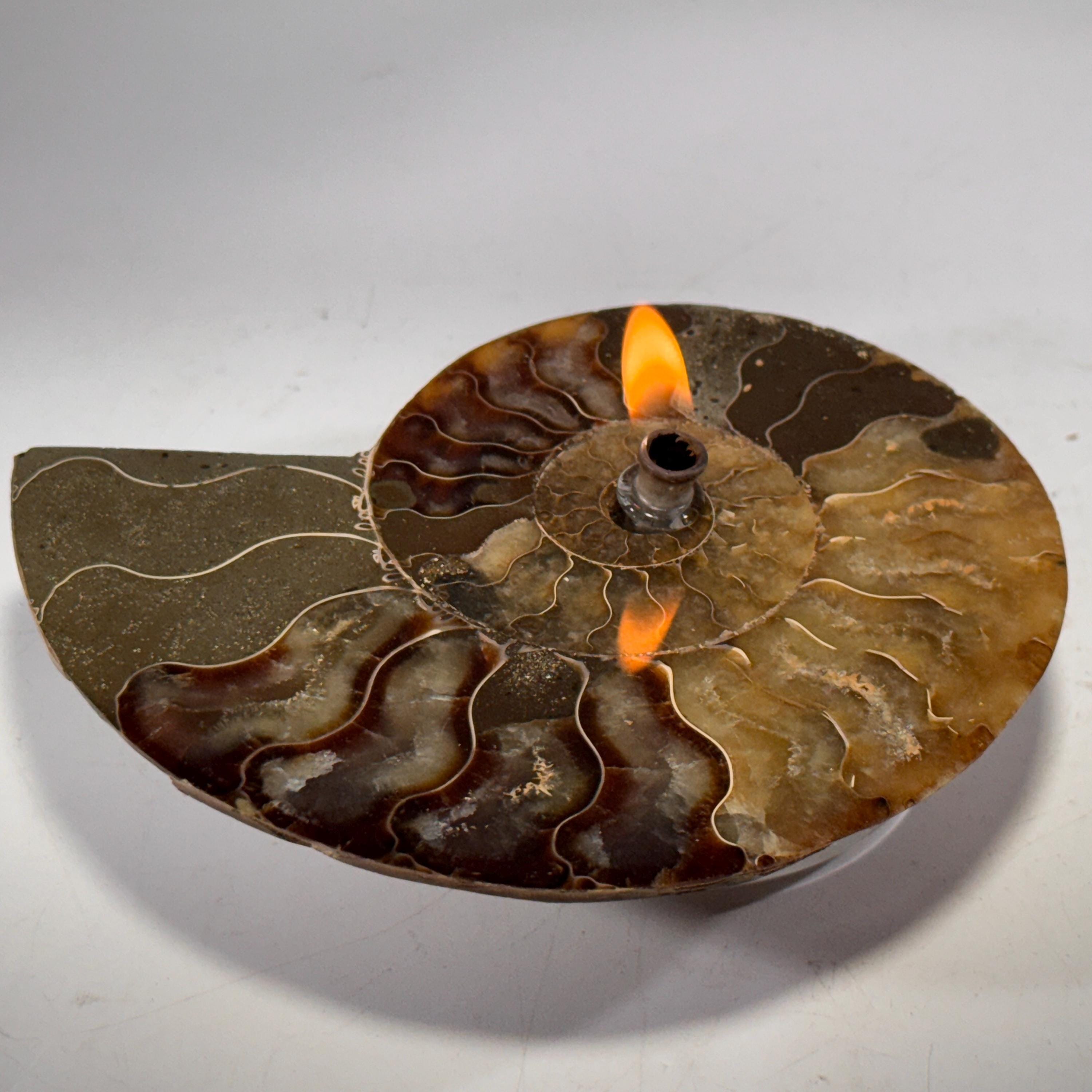 [shopname] - Rock Candle, Ammonite fossil | rock oil candle, nautilus fossil, fossil oil lamp, fossil candle, metaphysical, rock or candle lover gift, rock decor