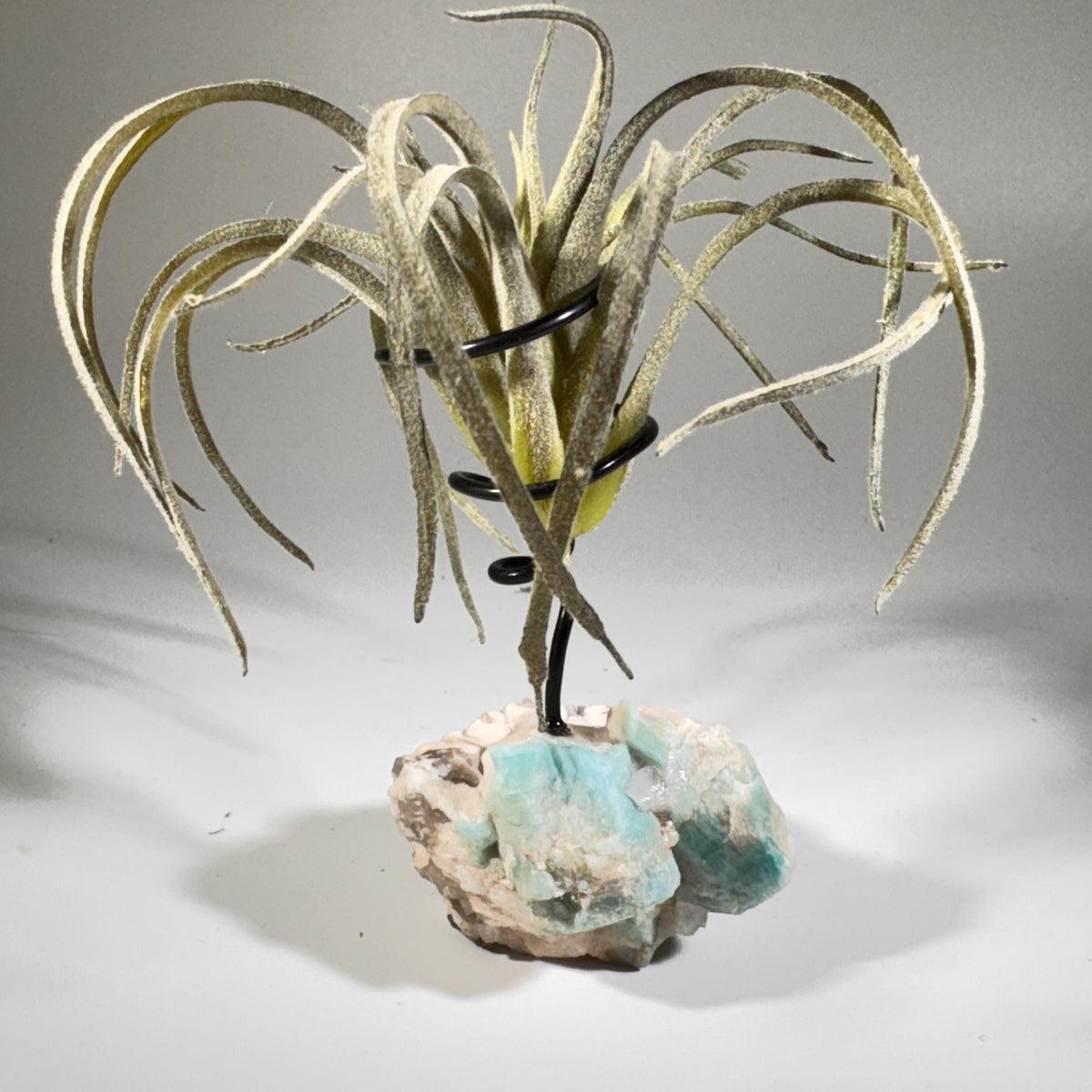 [shopname] - Air plant holder - Amazonite and smoky quartz, rock decor
