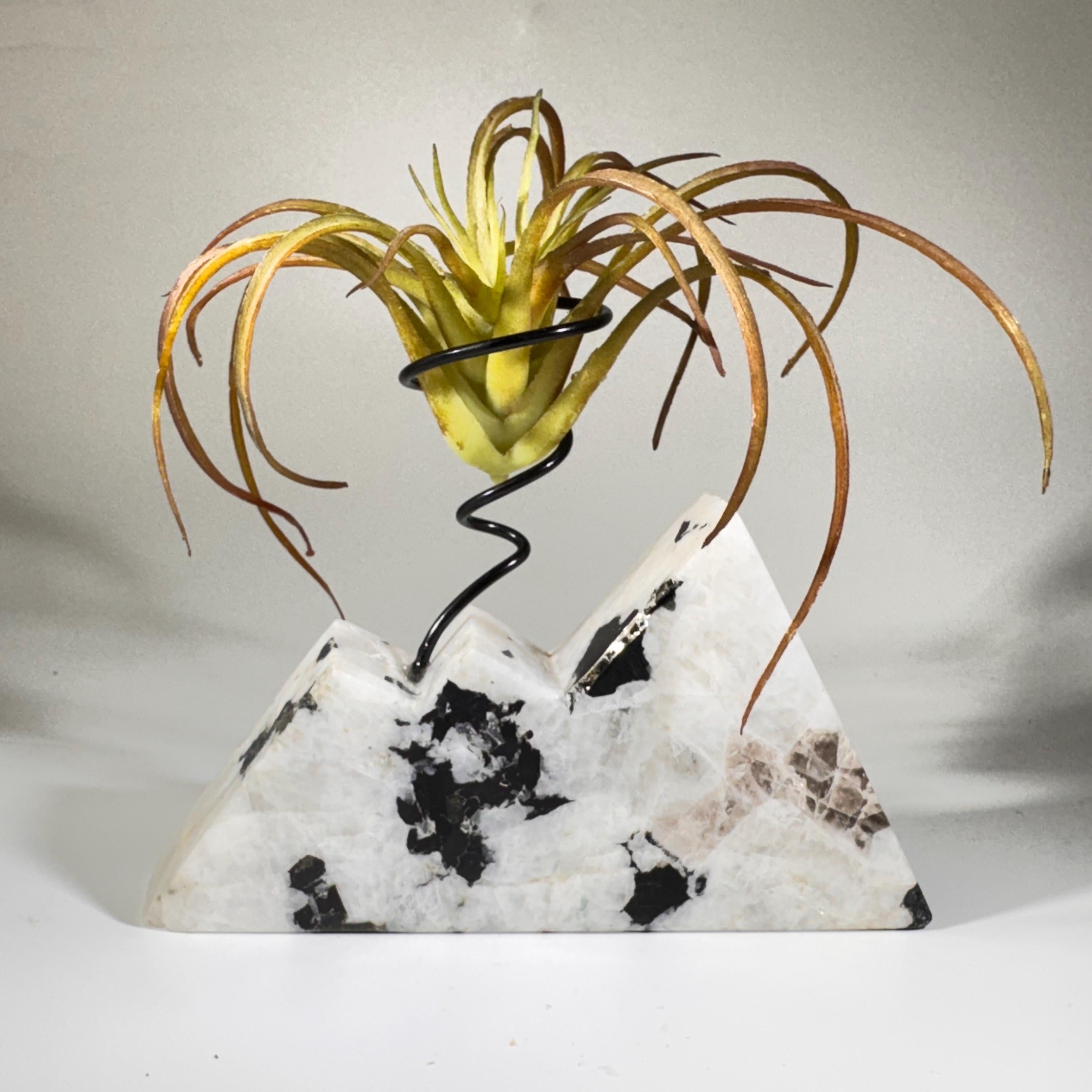 [shopname] - Moonstone Mountain air plant holder, rock decor