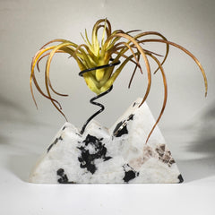 [shopname] - Moonstone Mountain air plant holder, rock decor