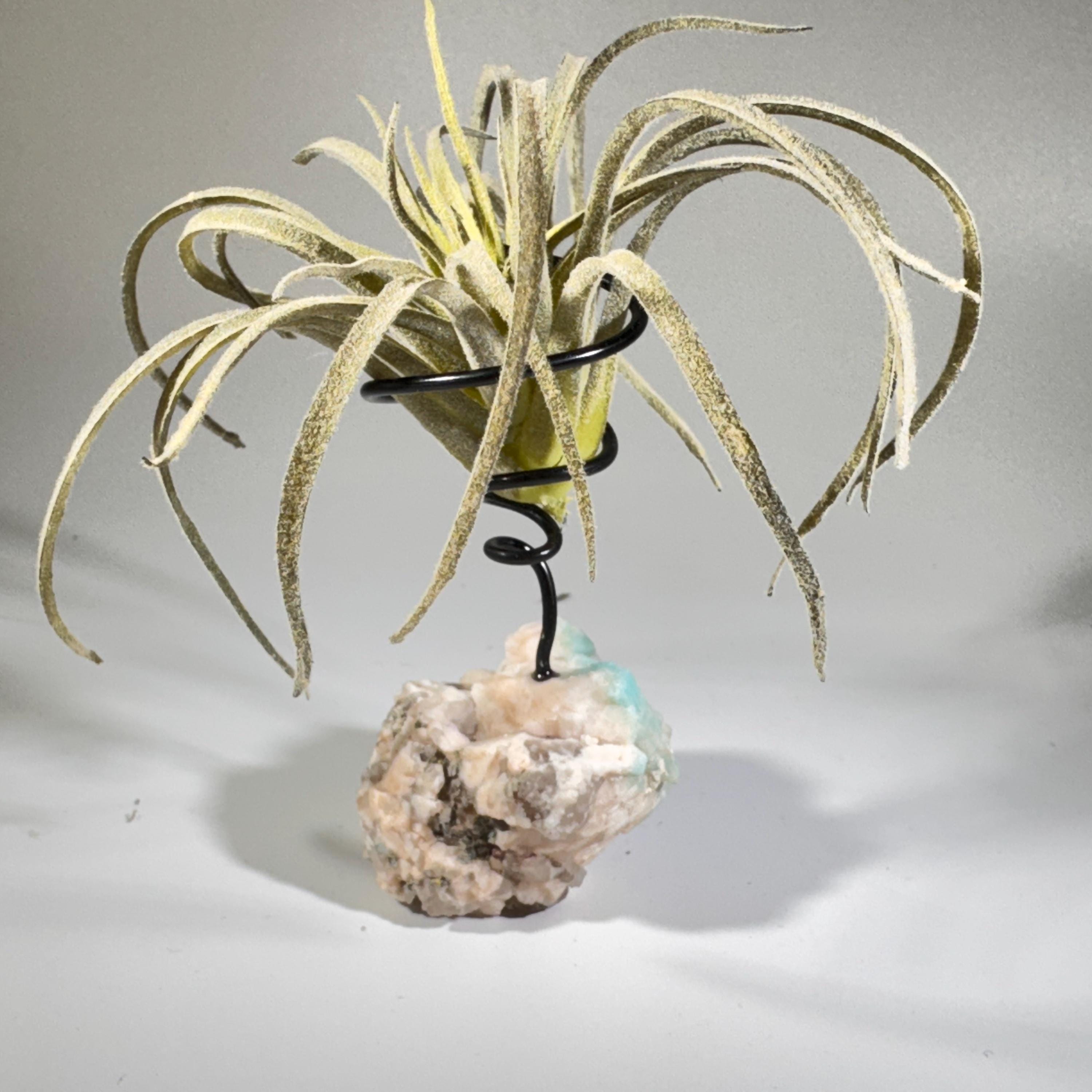 [shopname] - Air plant holder - Amazonite and smoky quartz, rock decor