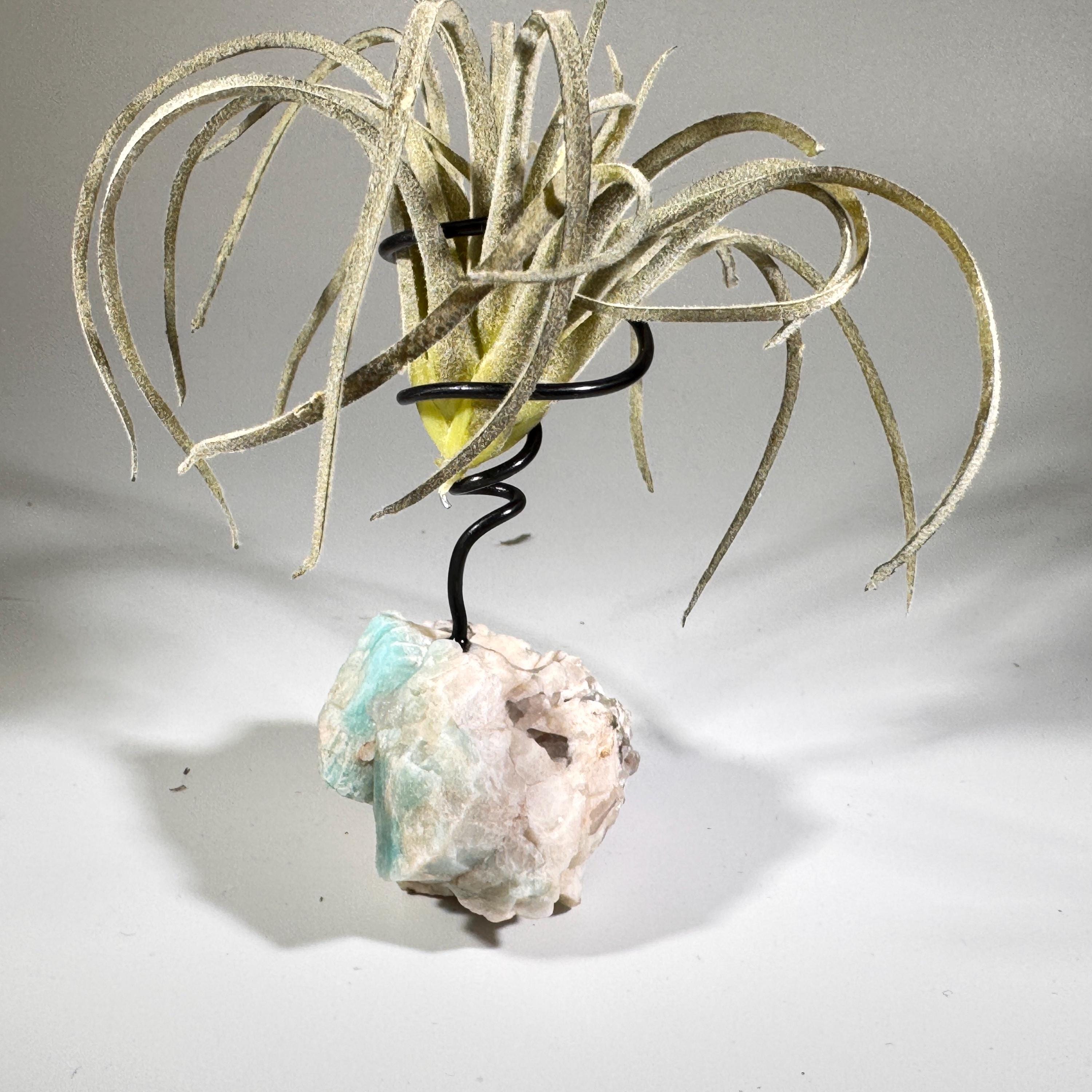 [shopname] - Air plant holder - Amazonite and smoky quartz, rock decor