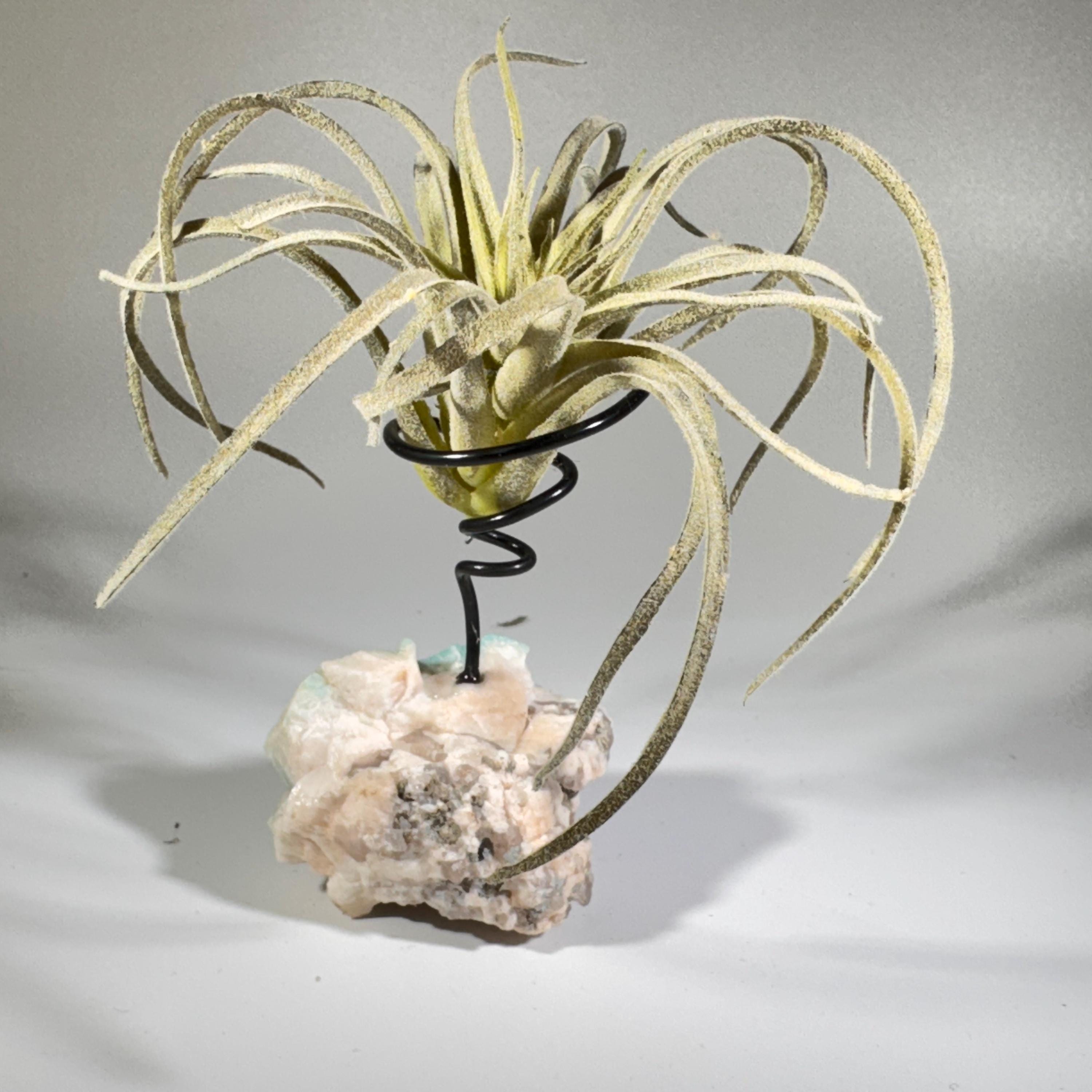 [shopname] - Air plant holder - Amazonite and smoky quartz, rock decor