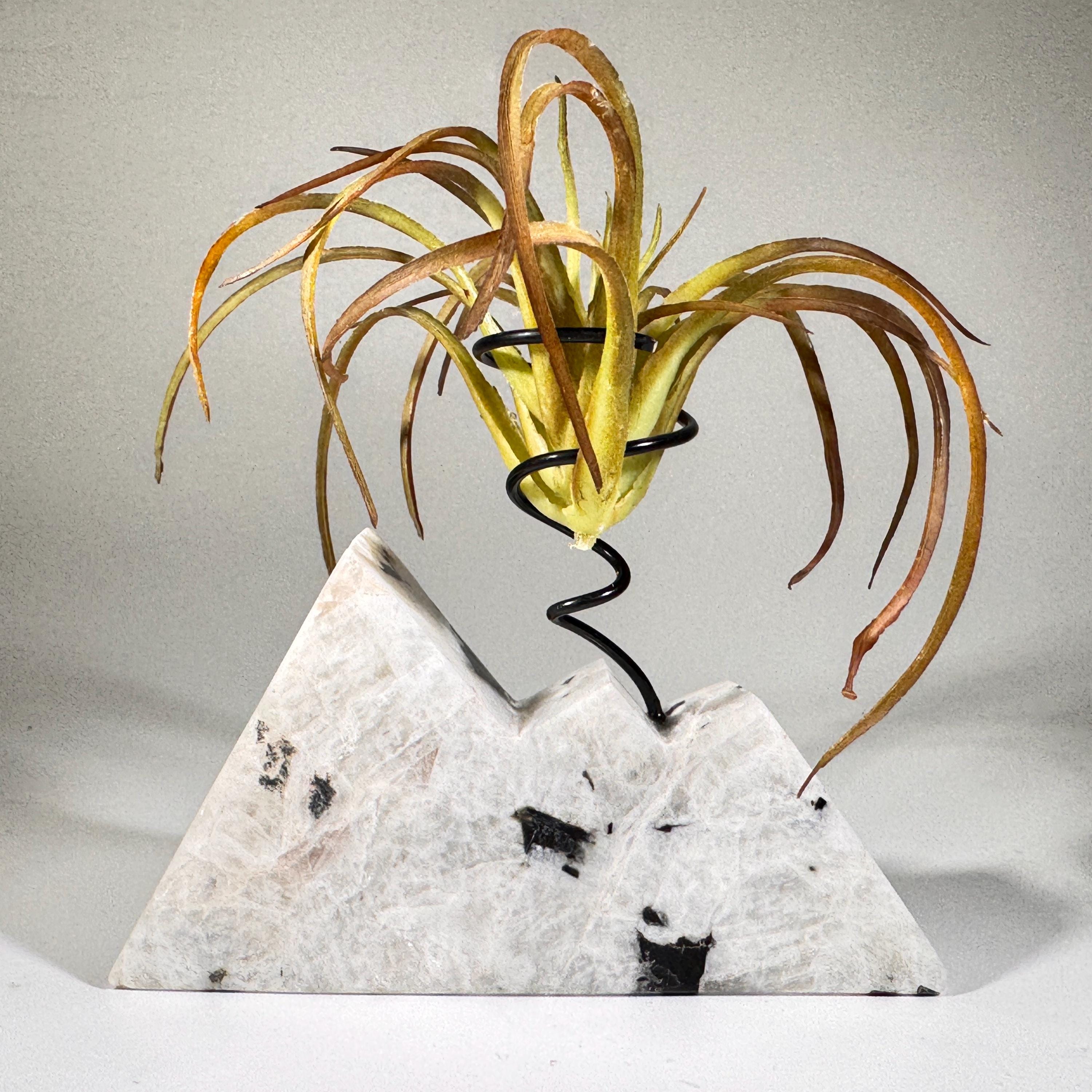 [shopname] - Moonstone Mountain air plant holder, rock decor