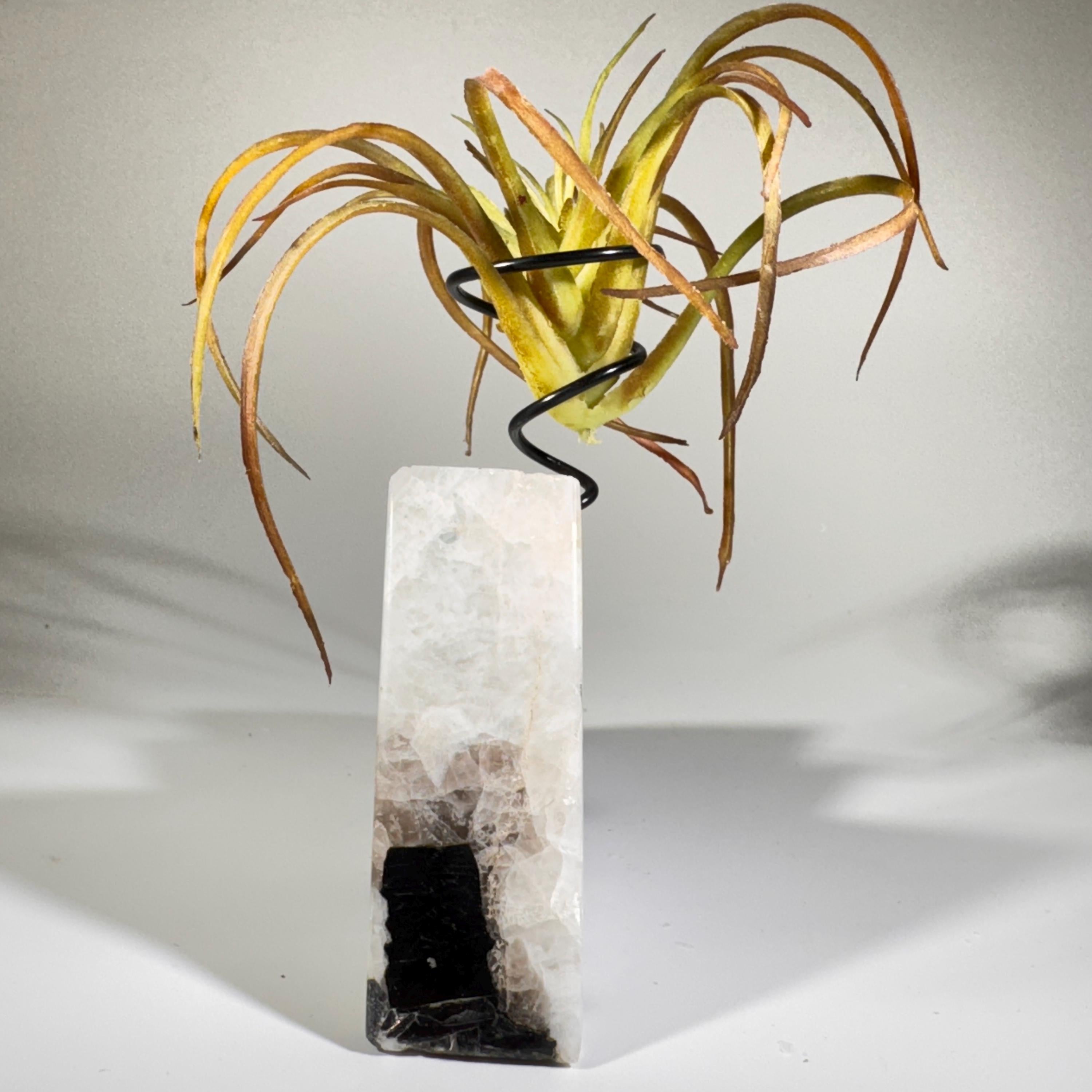[shopname] - Moonstone Mountain air plant holder, rock decor