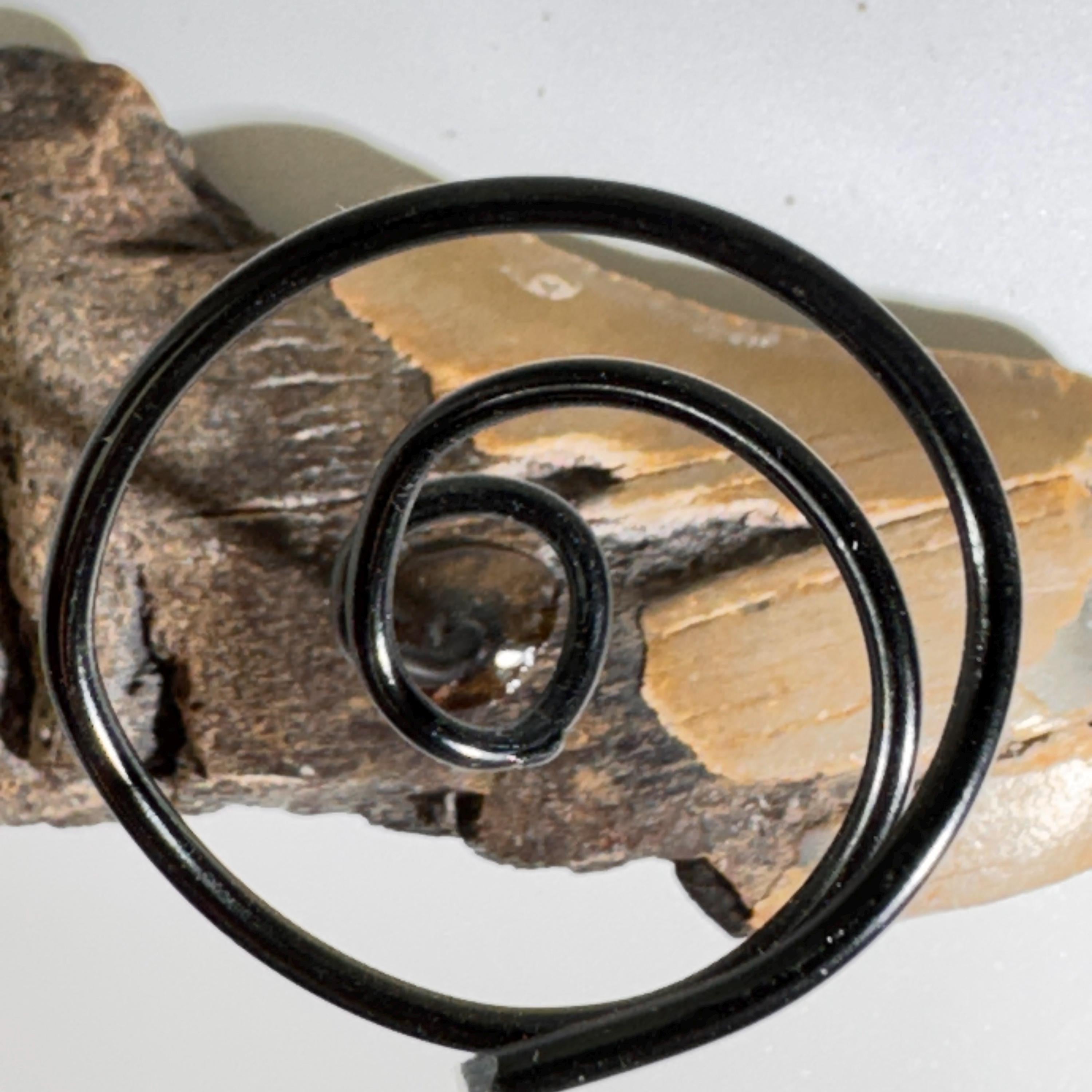 [shopname] - Air plant holder - Megalodon tooth - air plant NOT INCLUDED, rock decor