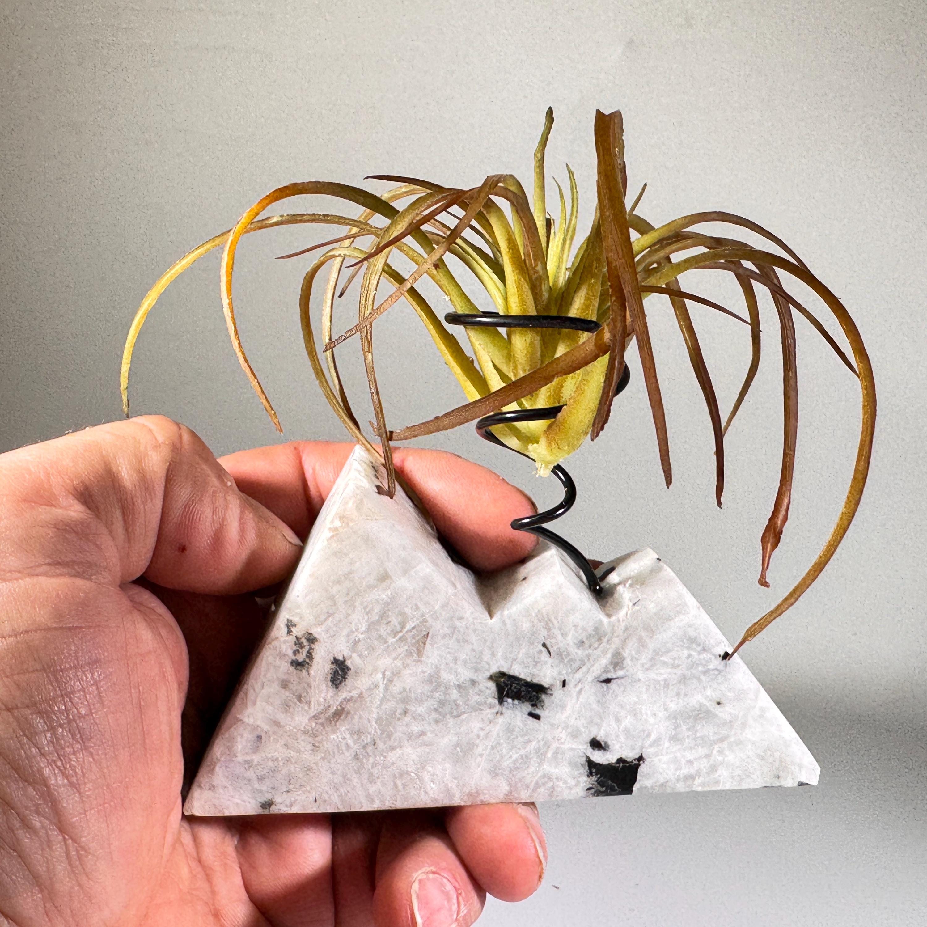 [shopname] - Moonstone Mountain air plant holder, rock decor