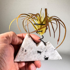 [shopname] - Moonstone Mountain air plant holder, rock decor