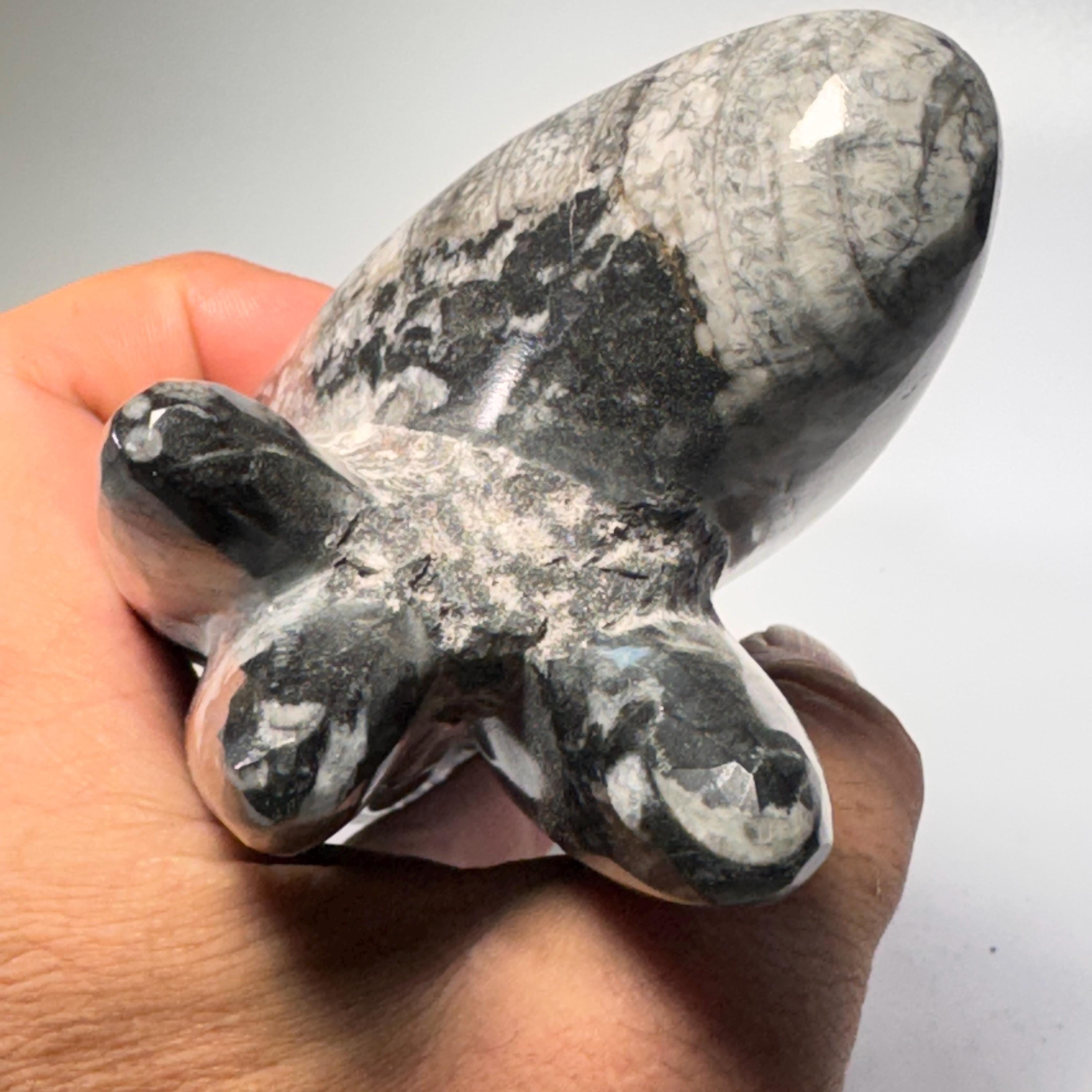 [shopname] - Orthoceras fossil tower | fossil cephalopod, fossil statue, fossil carving, freestanding fossil, collector must have, Morocco specimen, rock decor
