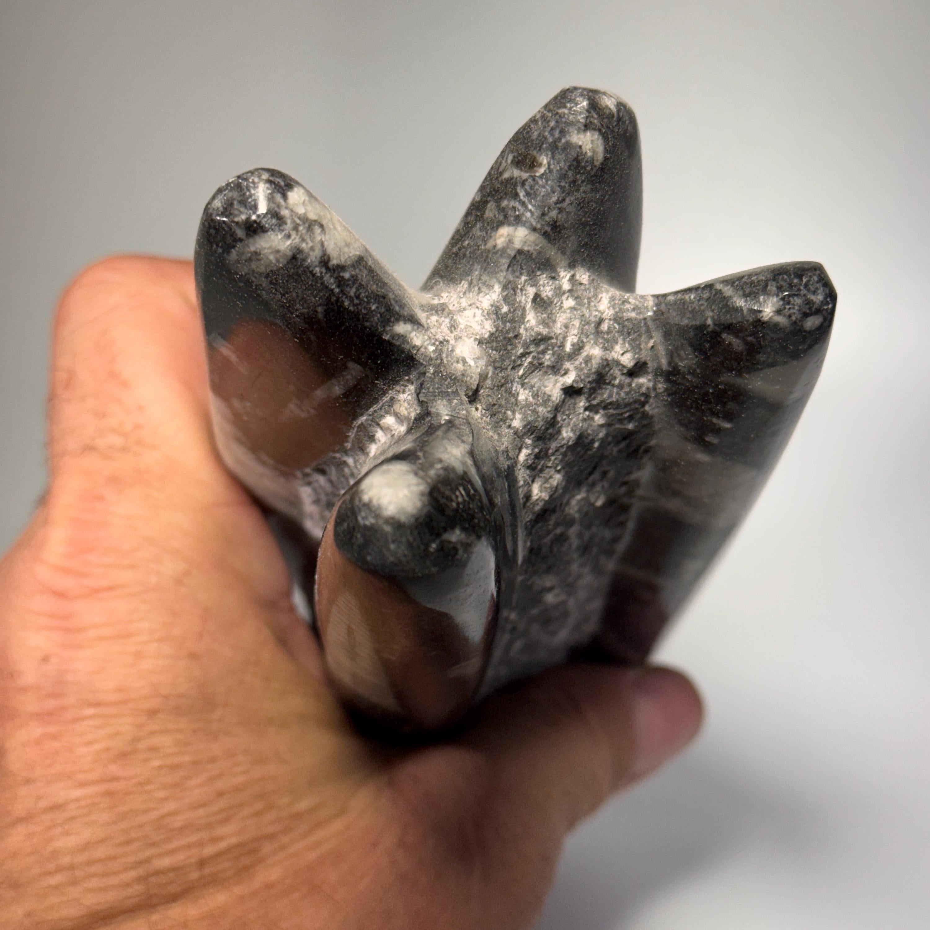 [shopname] - Orthoceras fossil tower, fossil cephalopod, rock decor