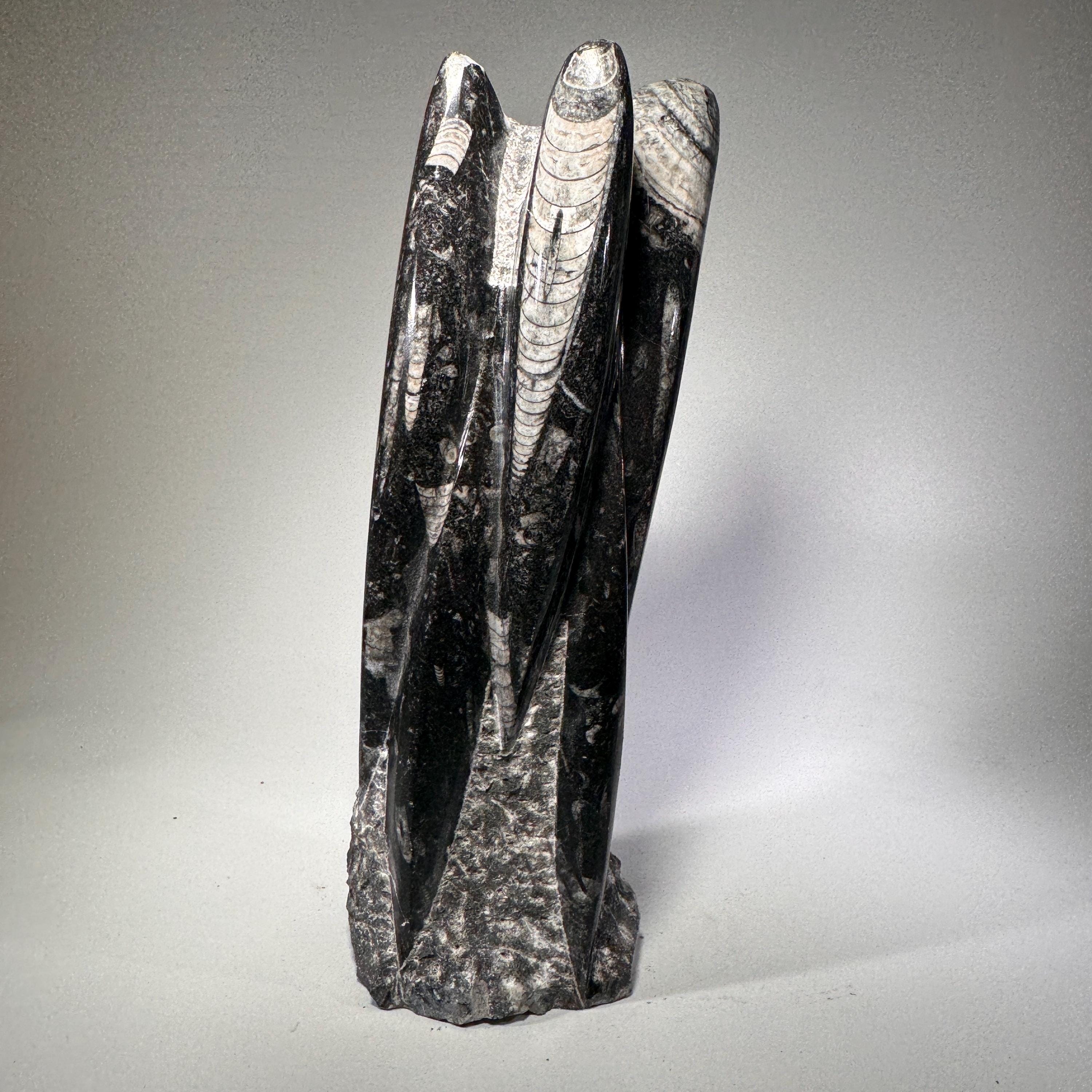 [shopname] - Orthoceras fossil tower | fossil cephalopod, fossil statue, fossil carving, freestanding fossil, collector must have, Morocco specimen, rock decor