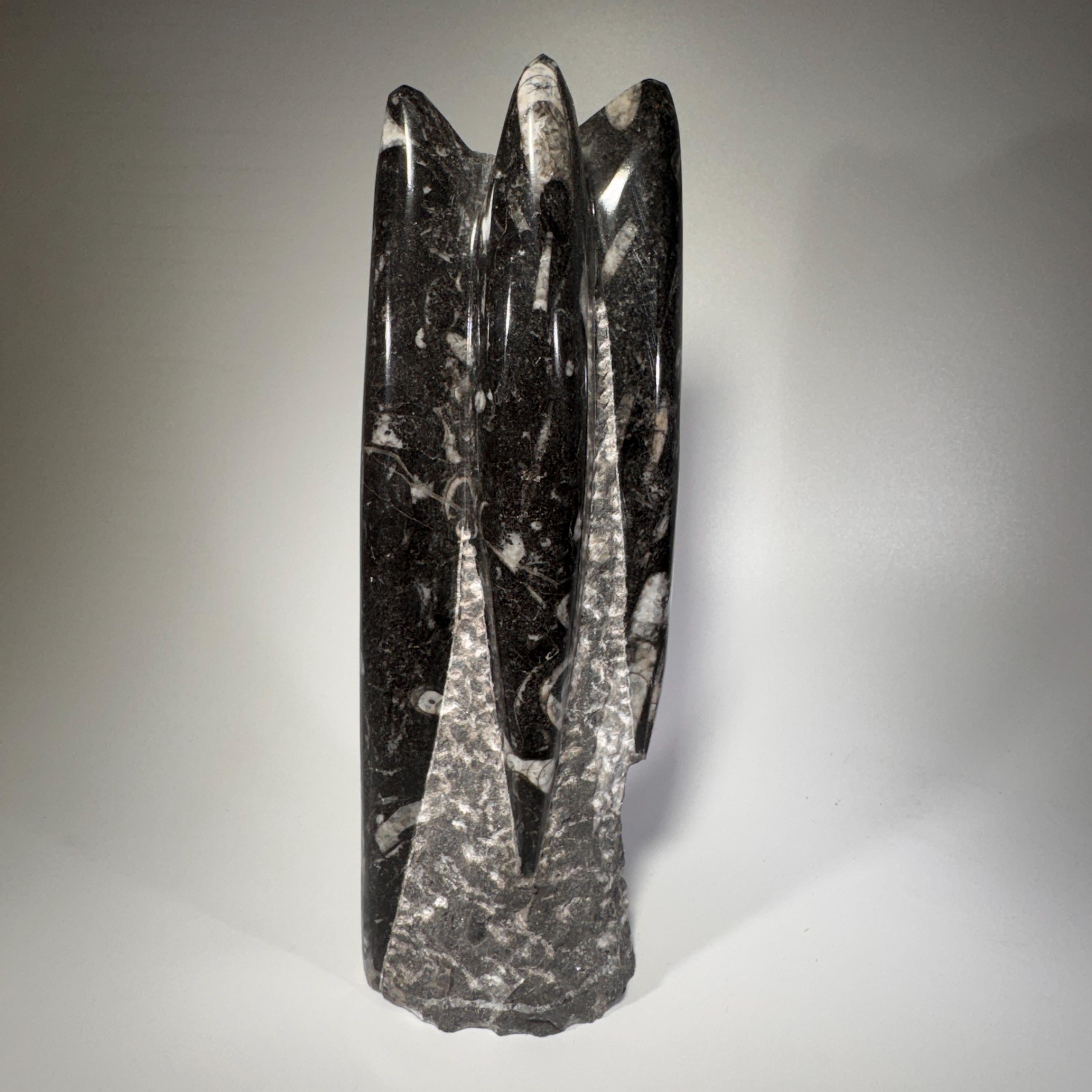 [shopname] - Orthoceras fossil tower, fossil cephalopod, rock decor