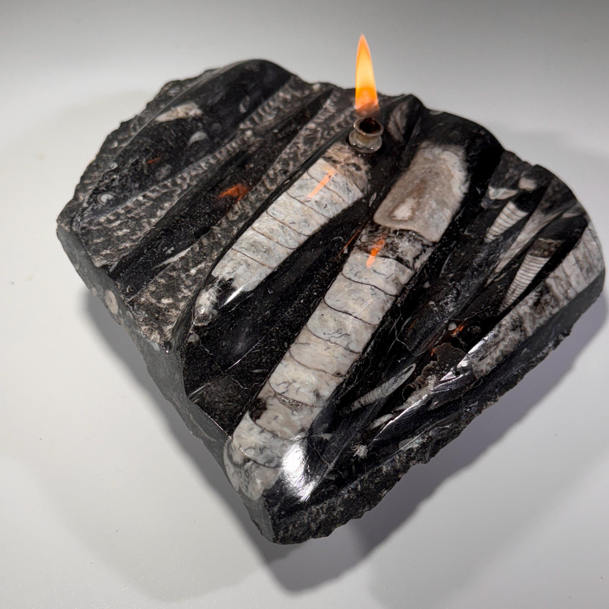 [shopname] - Rock oil lamp, Orthoceras fossil | rustic home decor for rock or candle lover, rock decor