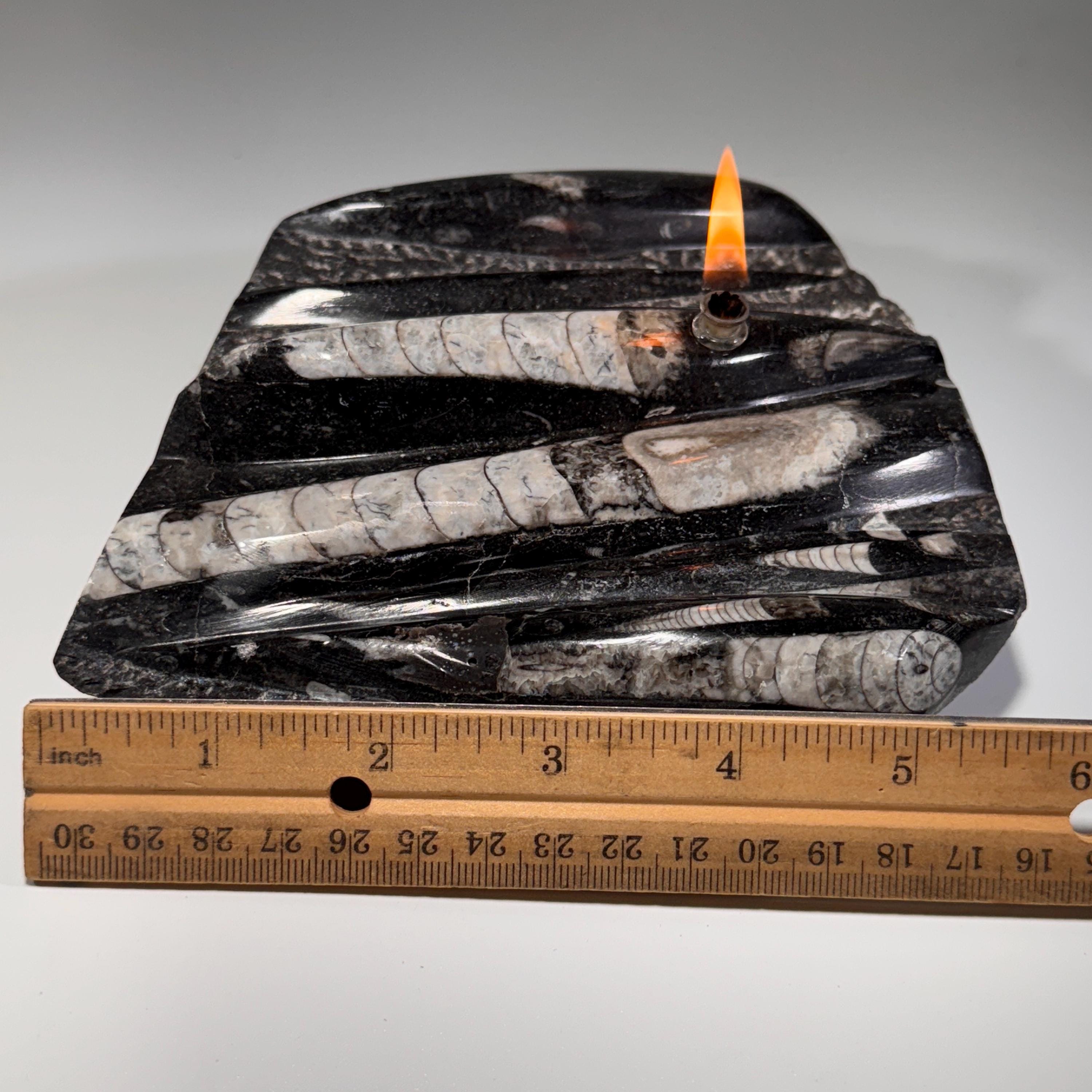 [shopname] - Rock oil lamp, Orthoceras fossil | rustic home decor for rock or candle lover, rock decor
