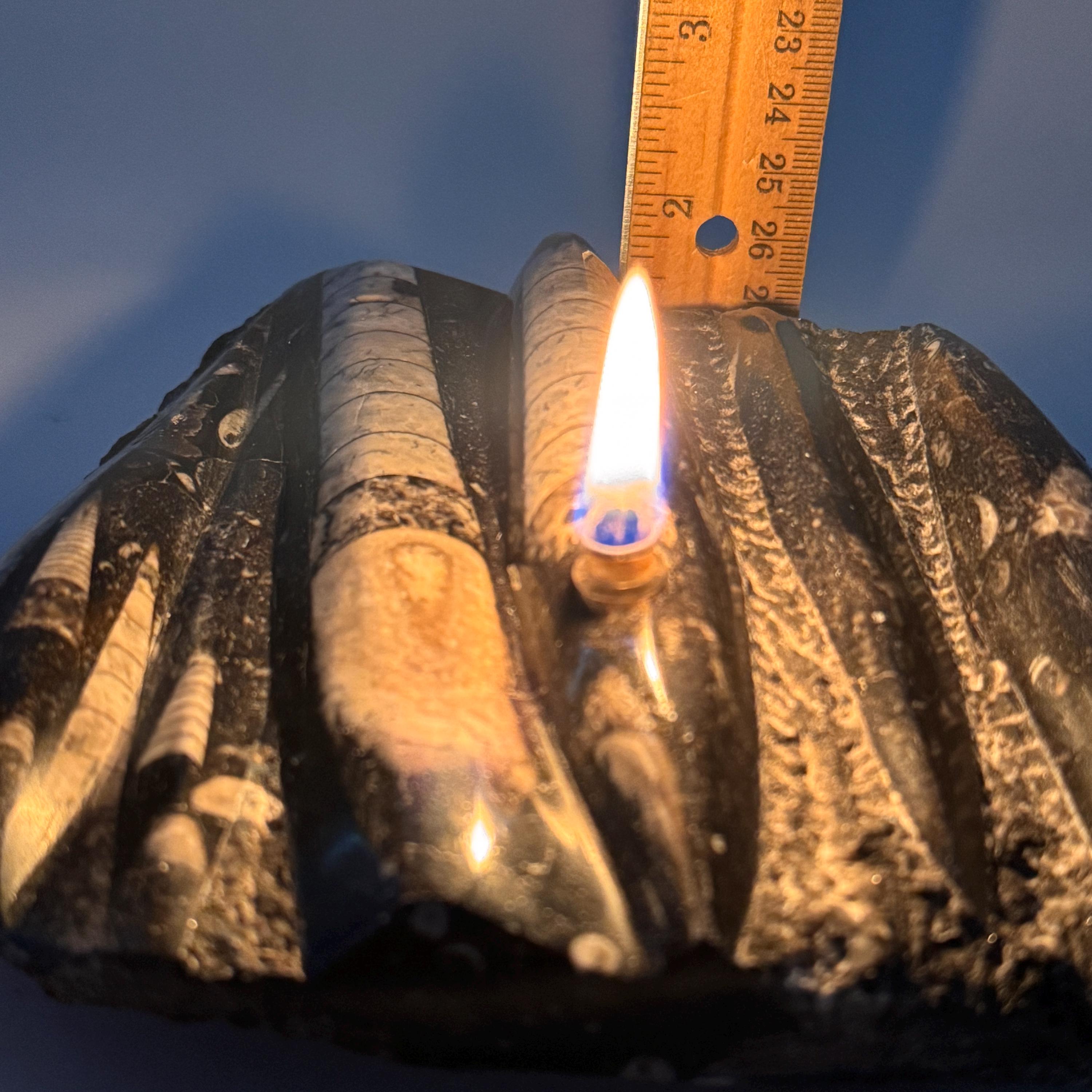 [shopname] - Rock oil lamp, Orthoceras fossil | rustic home decor for rock or candle lover, rock decor
