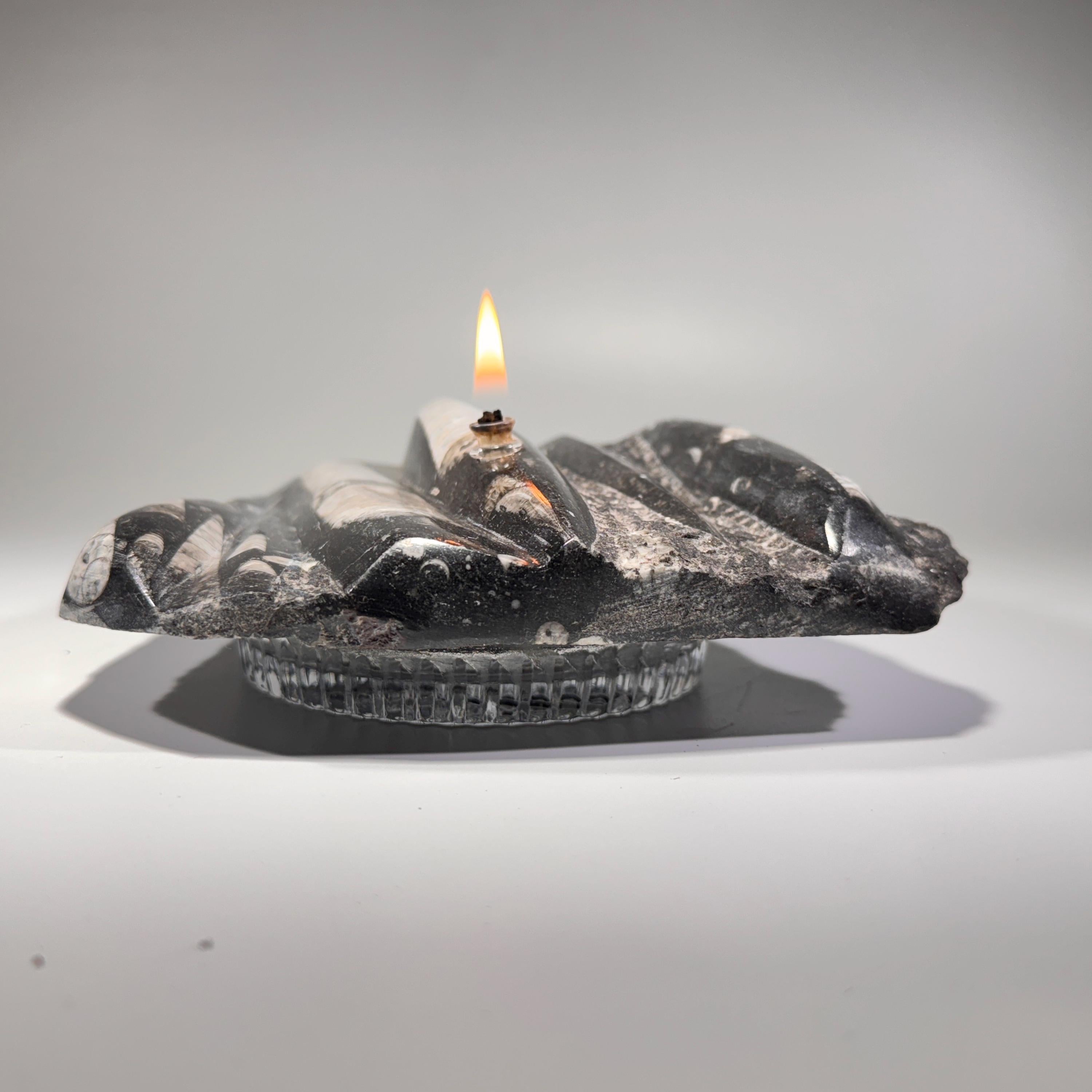 [shopname] - Rock oil lamp, Orthoceras fossil | rustic home decor for rock or candle lover, rock decor