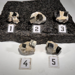 [shopname] - Pyrite cube cluster in matrix, rock decor