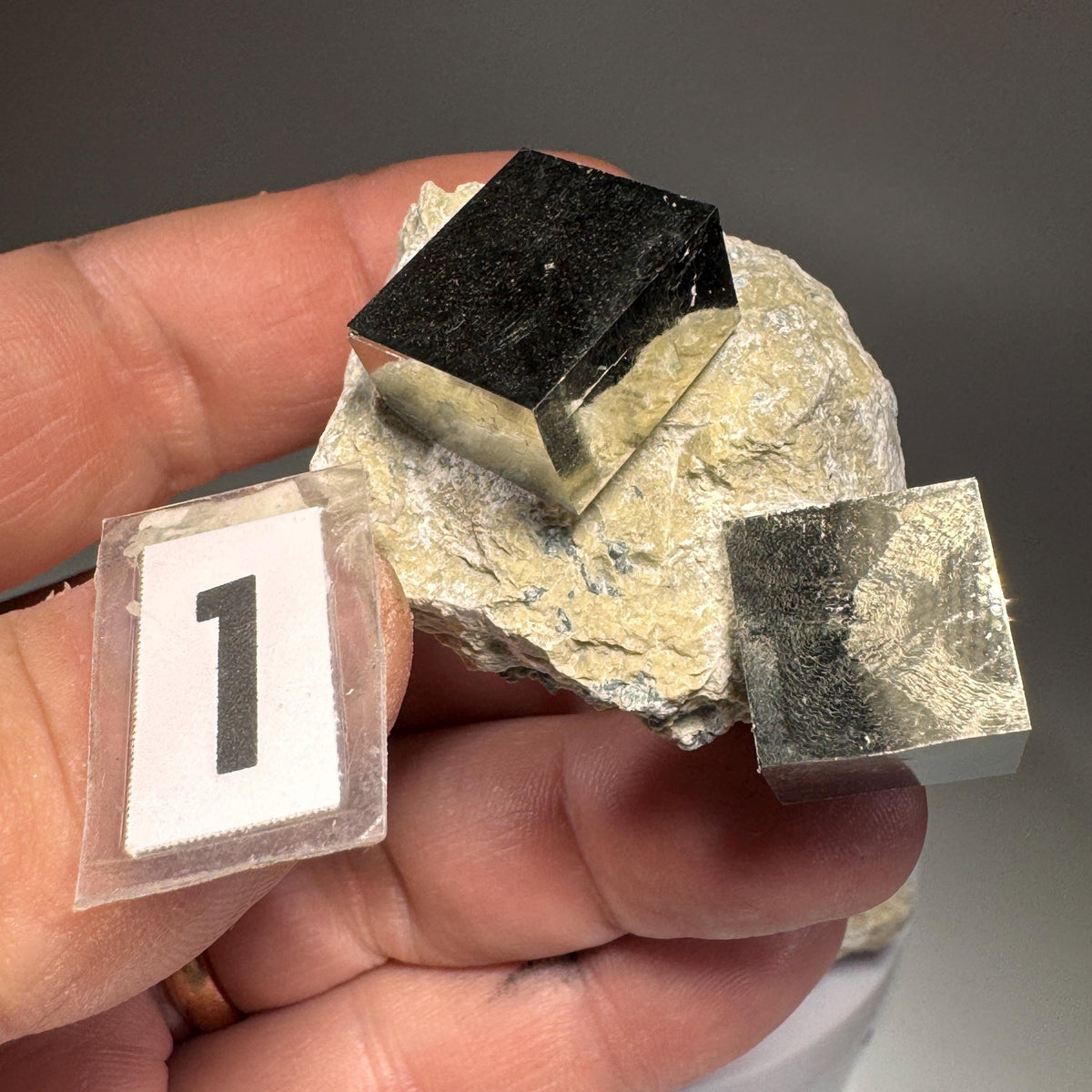 [shopname] - Medium size Pyrite cube crystals in Matrix, rock decor