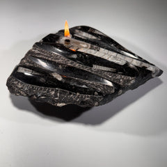 [shopname] - Rock oil lamp, Orthoceras fossil | rustic home decor for rock or candle lover, rock decor