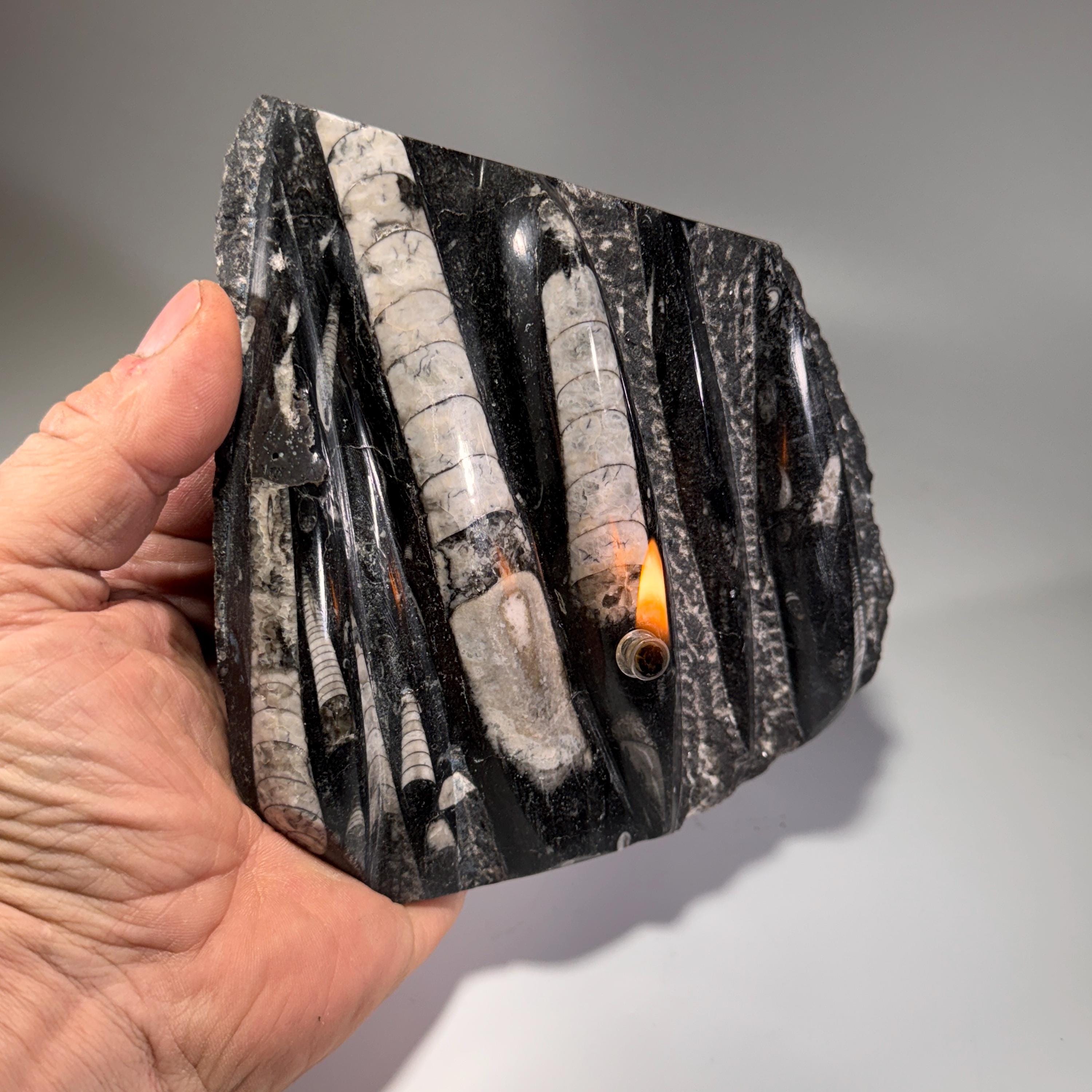 [shopname] - Rock oil lamp, Orthoceras fossil | rustic home decor for rock or candle lover, rock decor
