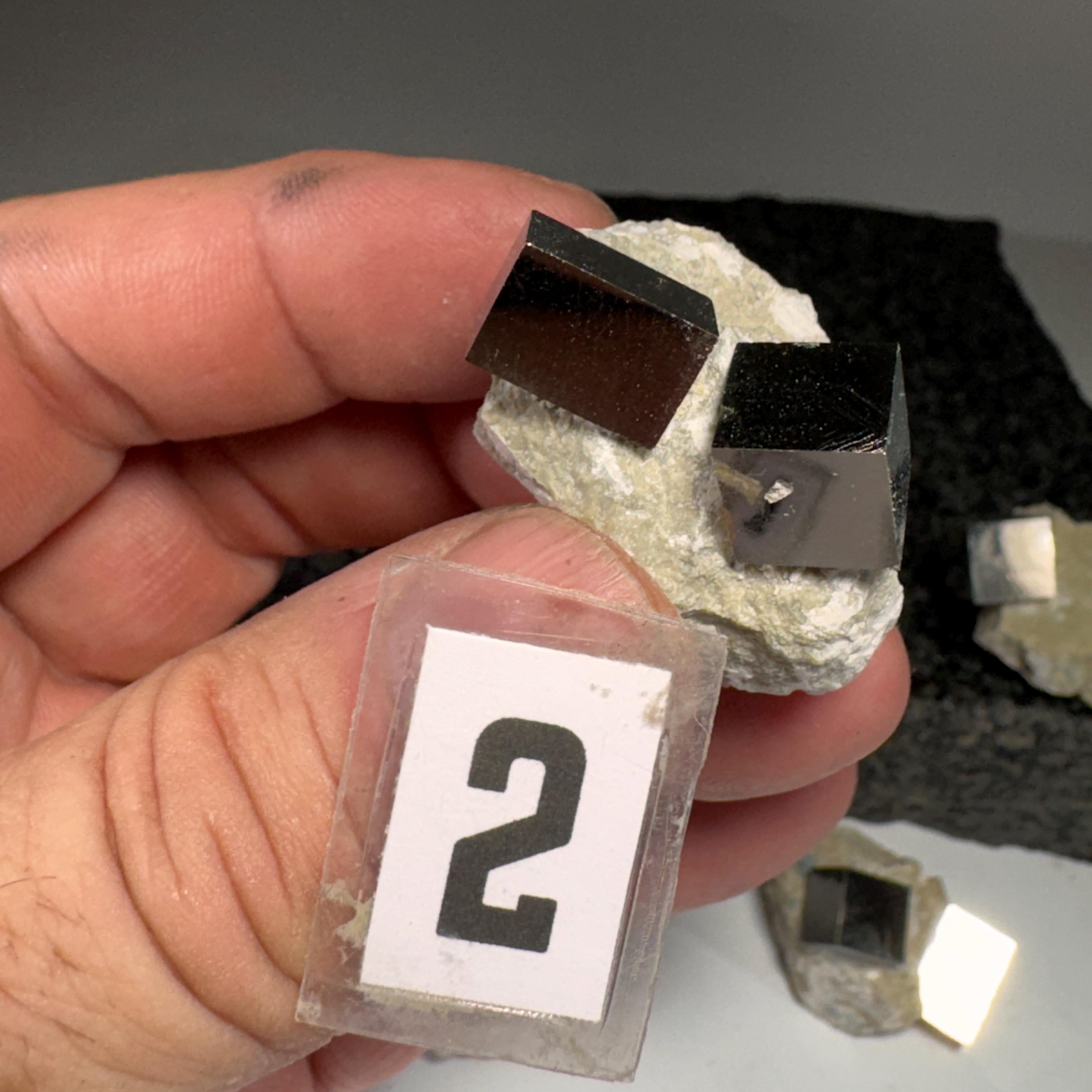 [shopname] - Pyrite cube cluster in matrix, rock decor