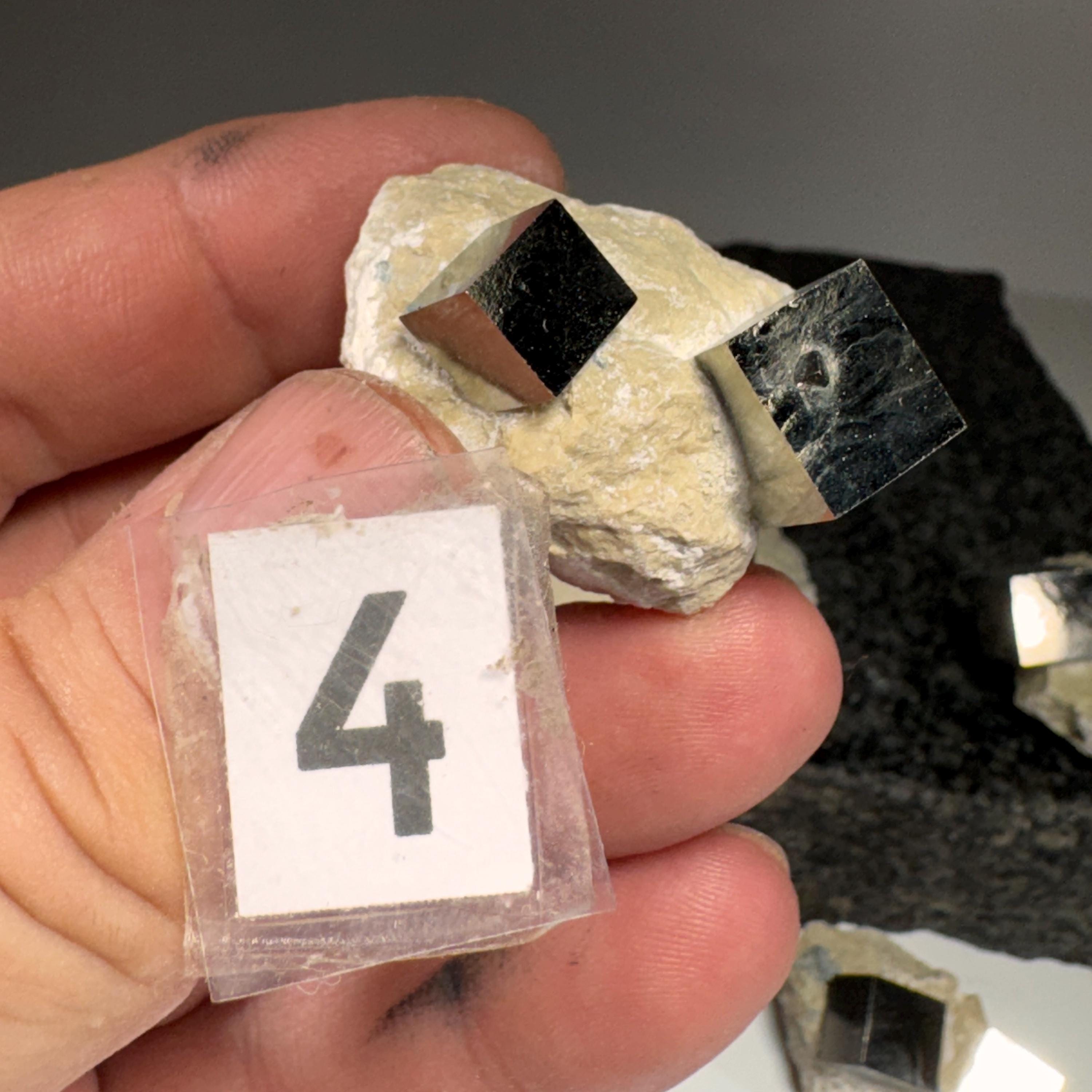 [shopname] - Pyrite cube cluster in matrix, rock decor