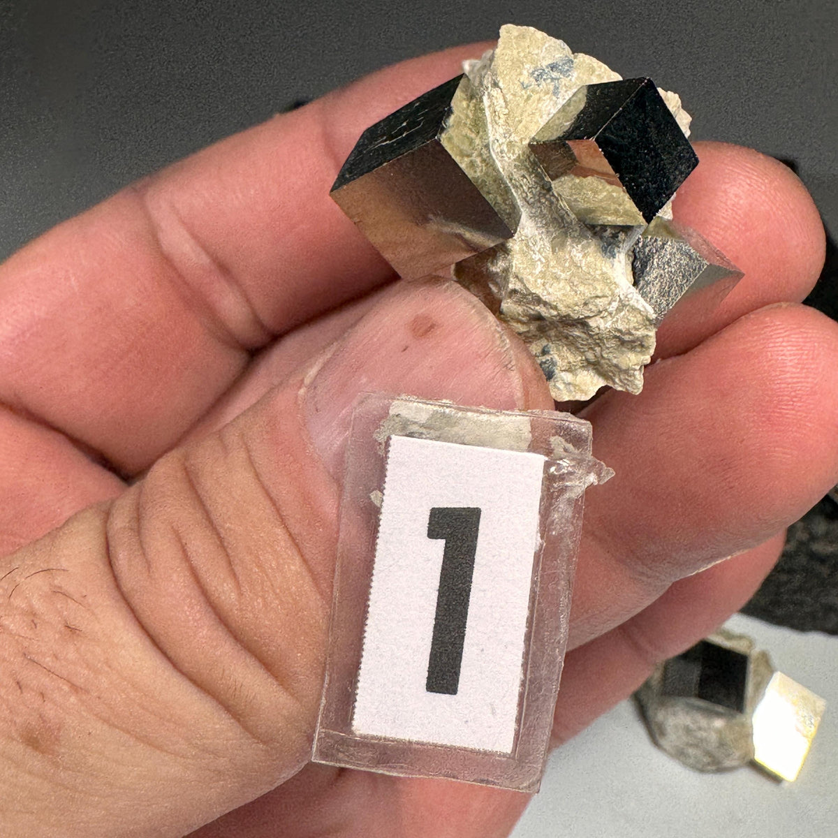 [shopname] - Pyrite cube cluster in matrix, rock decor