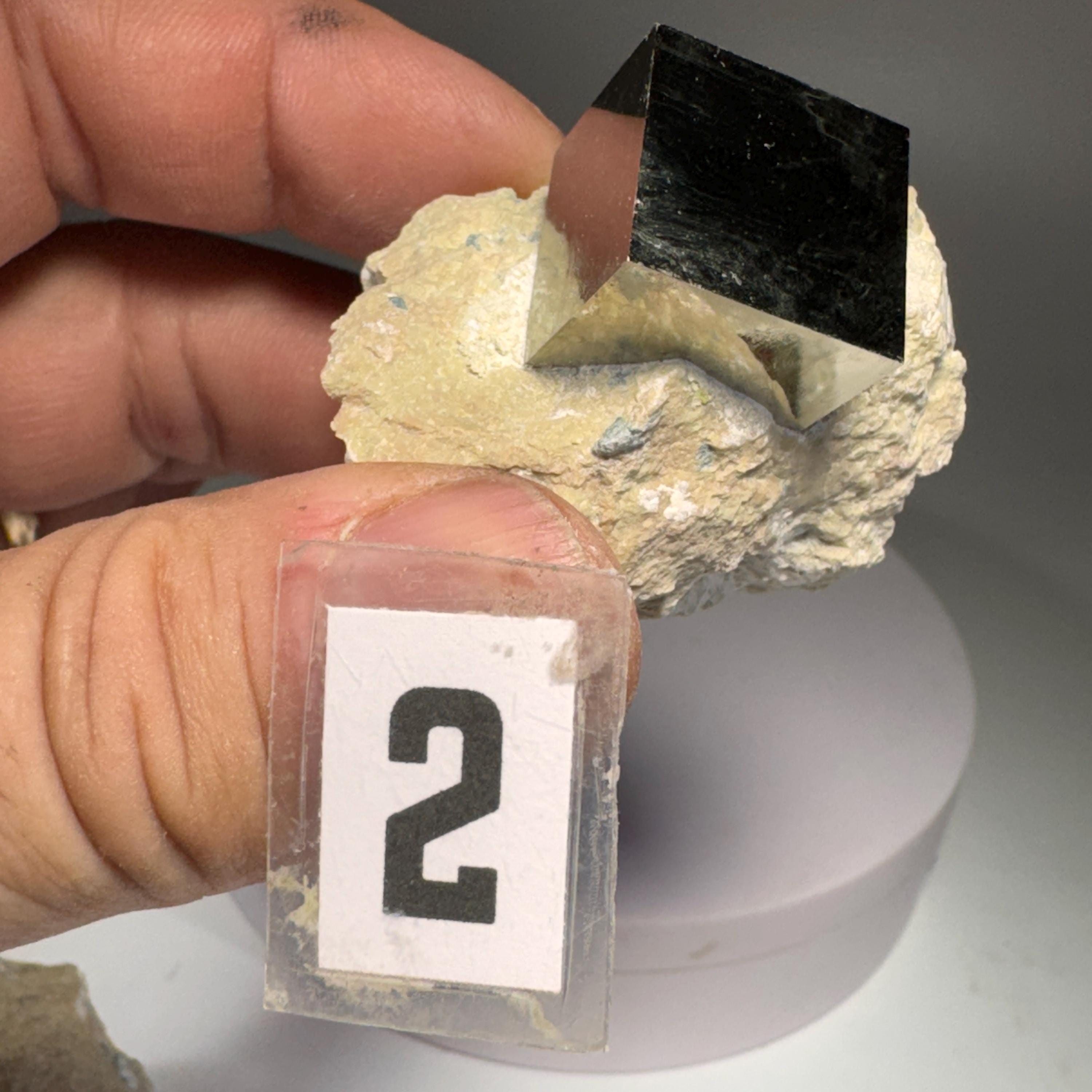 [shopname] - Medium size Pyrite cube crystals in Matrix, rock decor